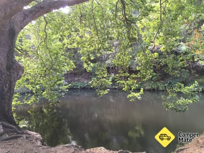 Hatea River Swing and Swim