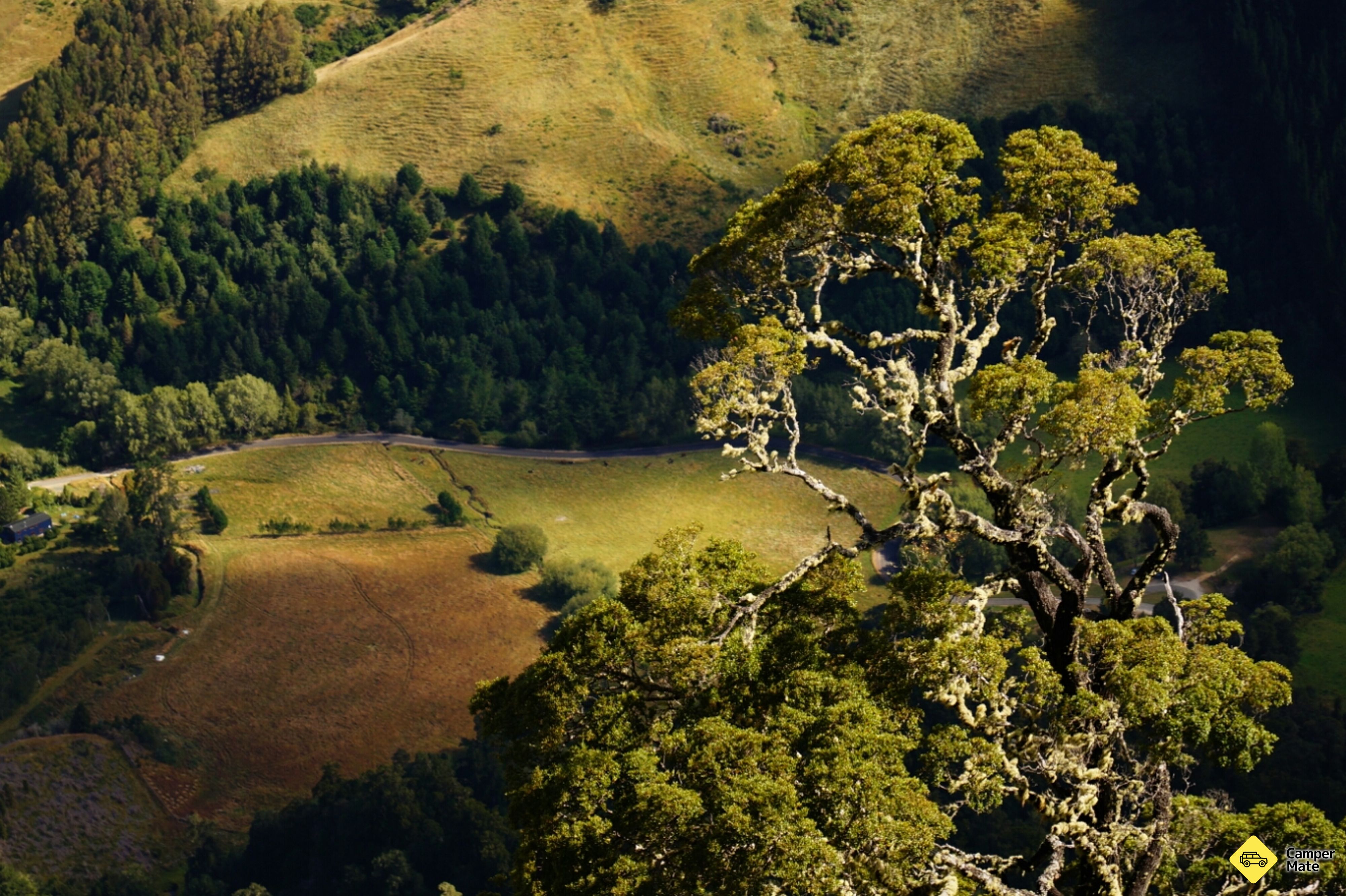 Hawkes Lookout - Image 3