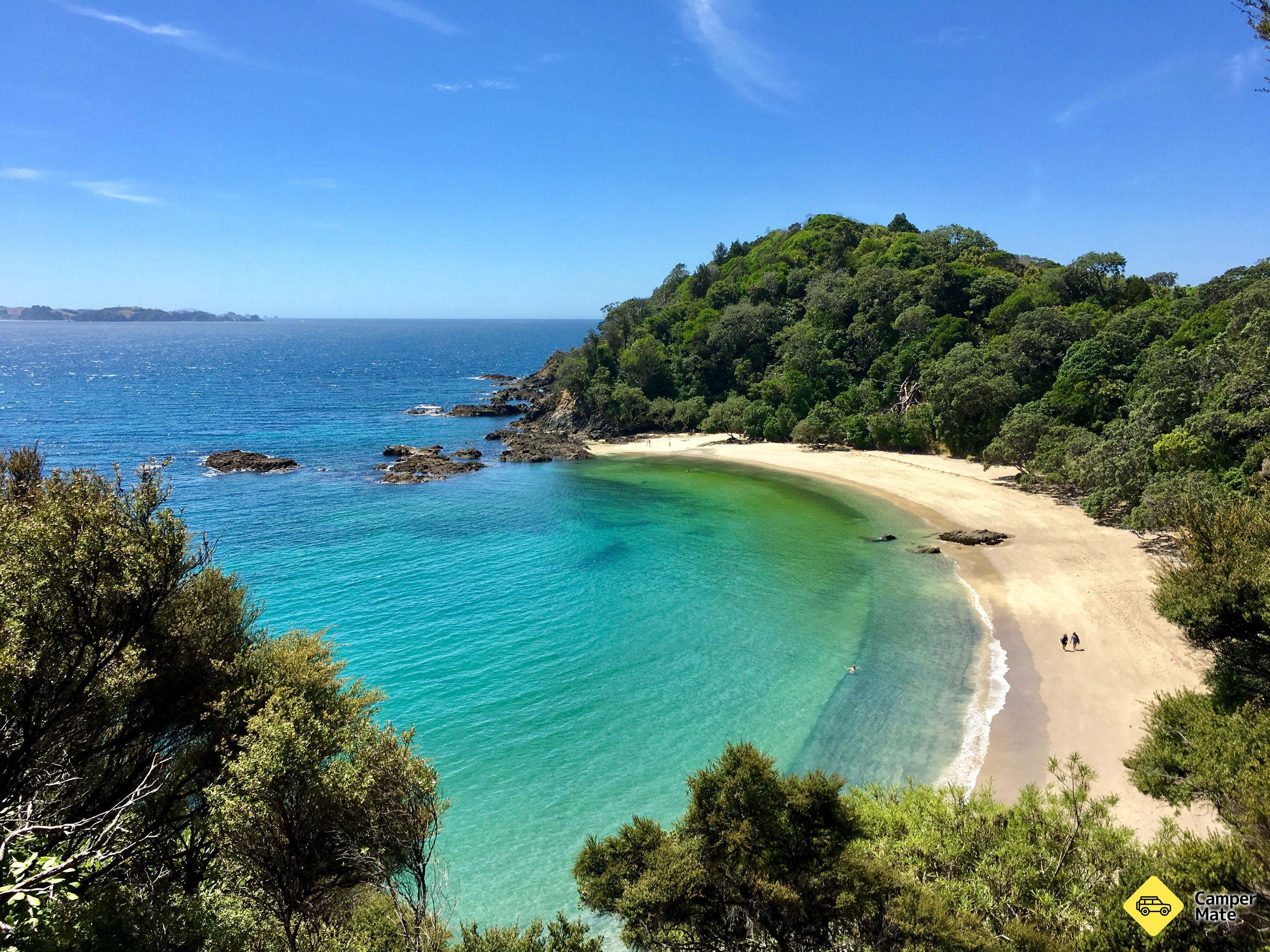 Whale Bay