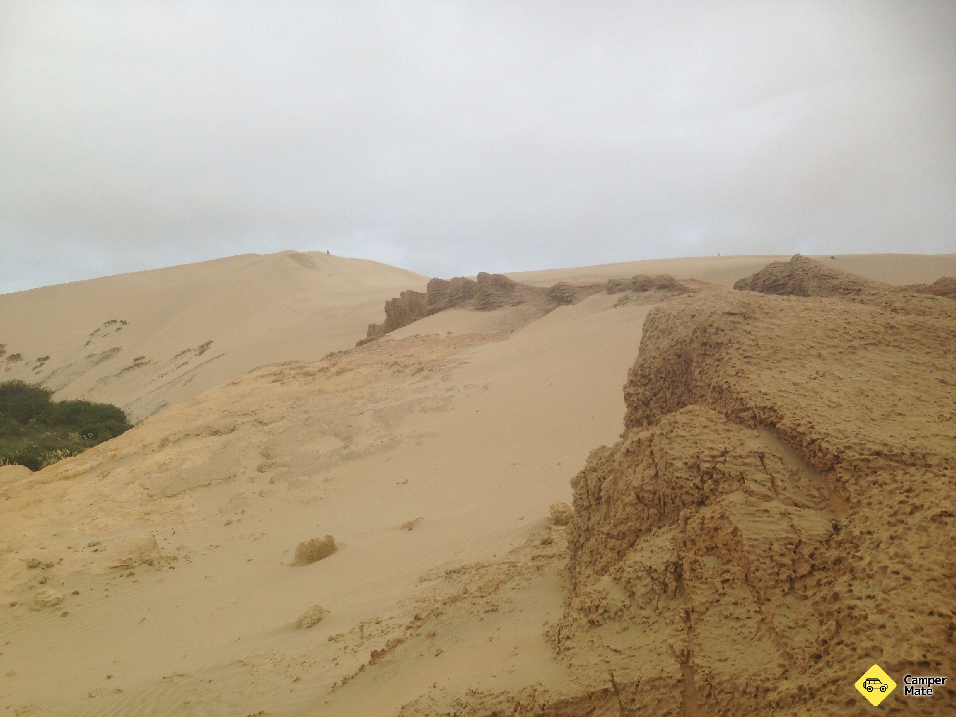Te Paki Sand Dunes  Giant Sand Dunes - Image 3