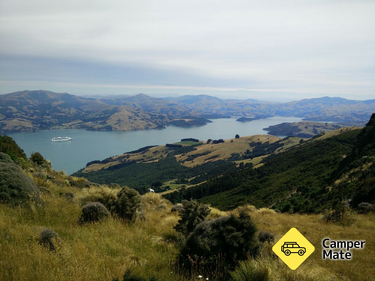 Akaroa Harbour Lookout 근처 오락거리
