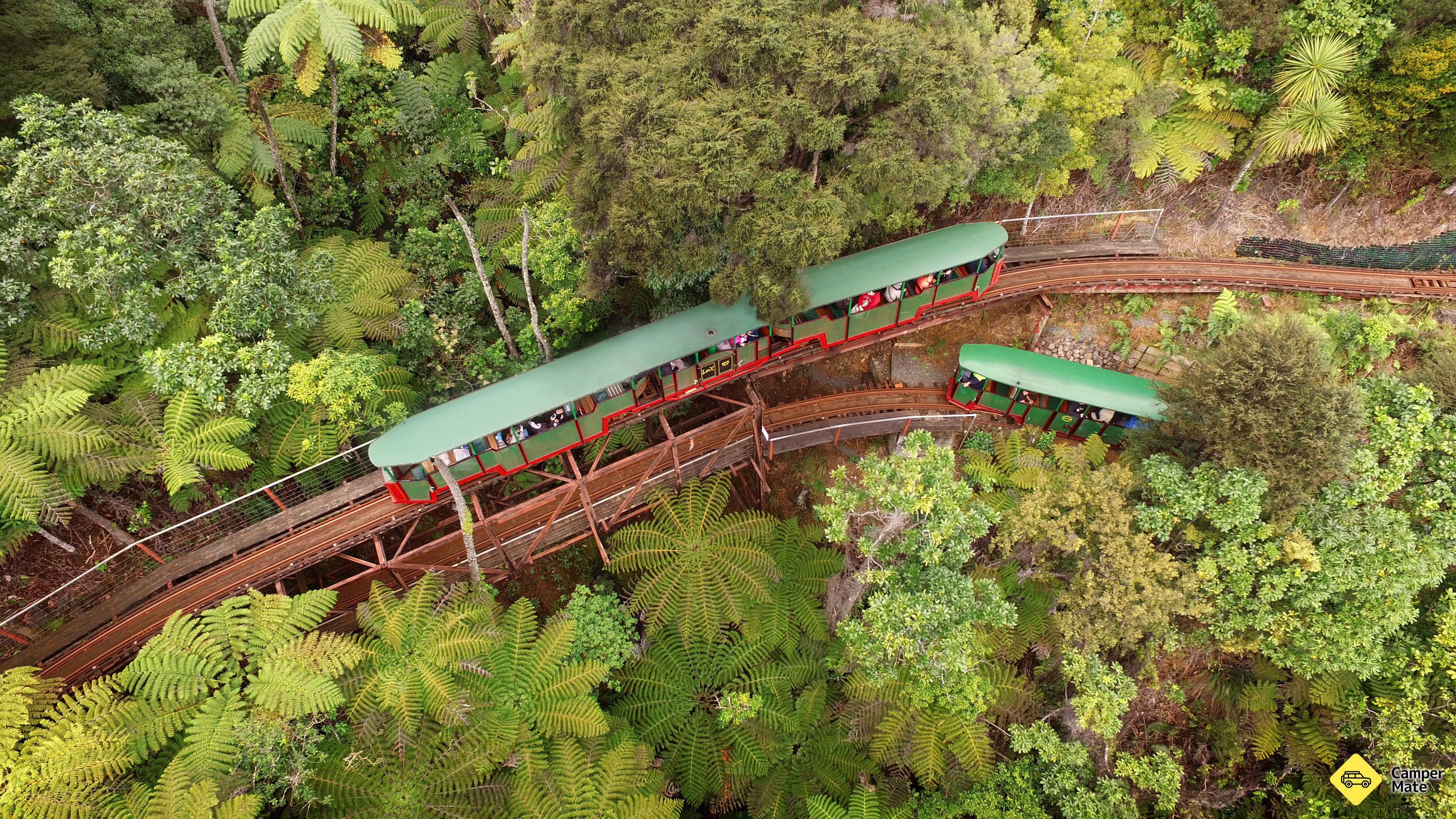 Driving Creek - Railway, Zipline, Pottery and Conservation - Image 2
