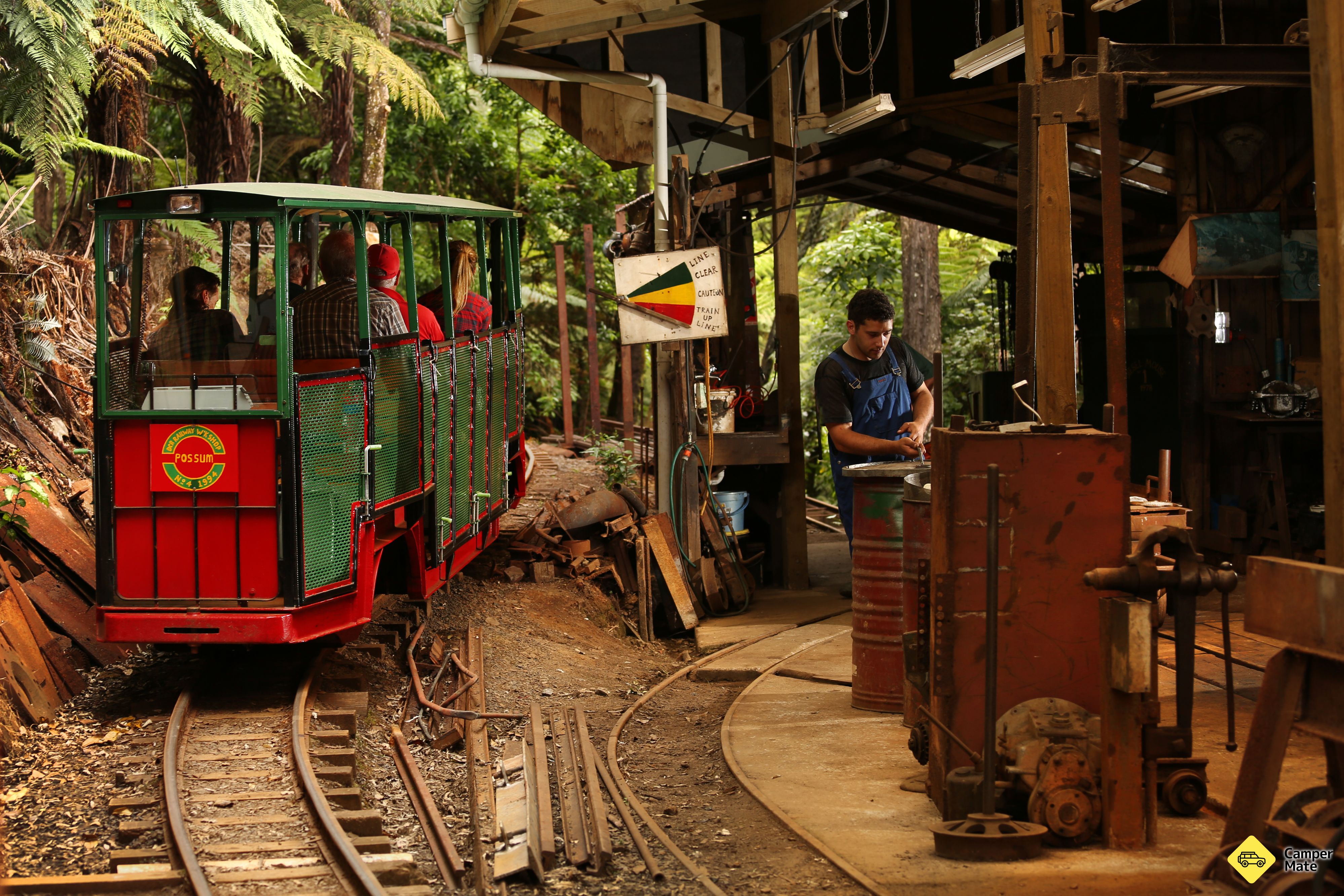 Driving Creek - Railway, Zipline, Pottery and Conservation - Image 3
