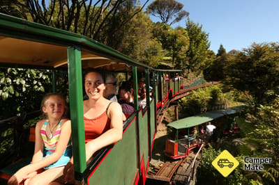 Driving Creek - Railway, Zipline, Pottery and Conservation