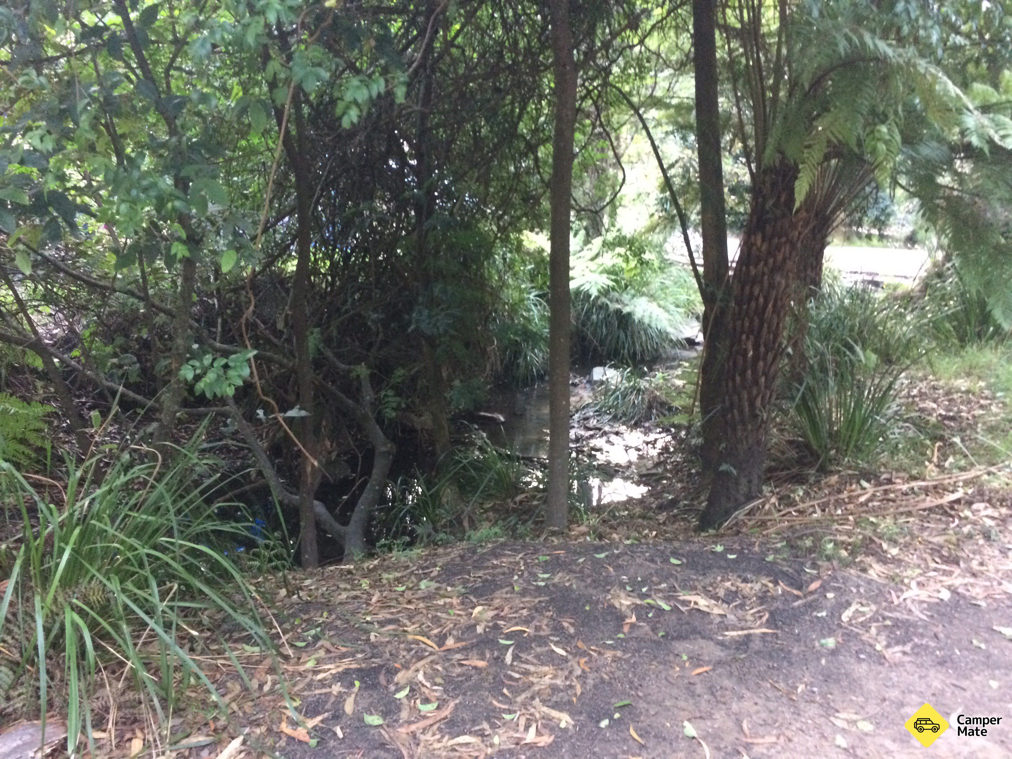 Blackheath Glen Reserve - Image 2