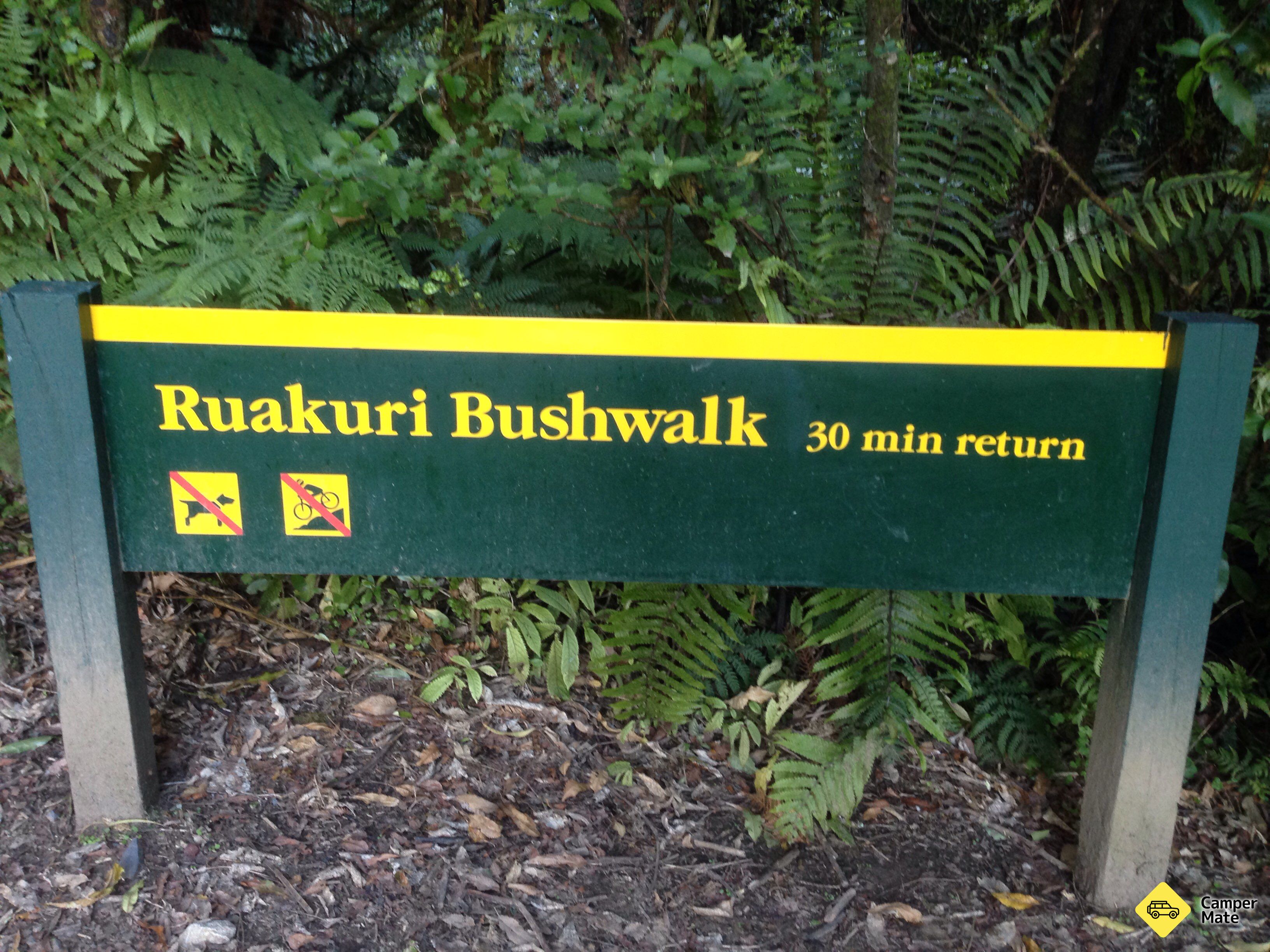 Ruakuri Bushwalk Näytä tarkat tiedot - Image 2