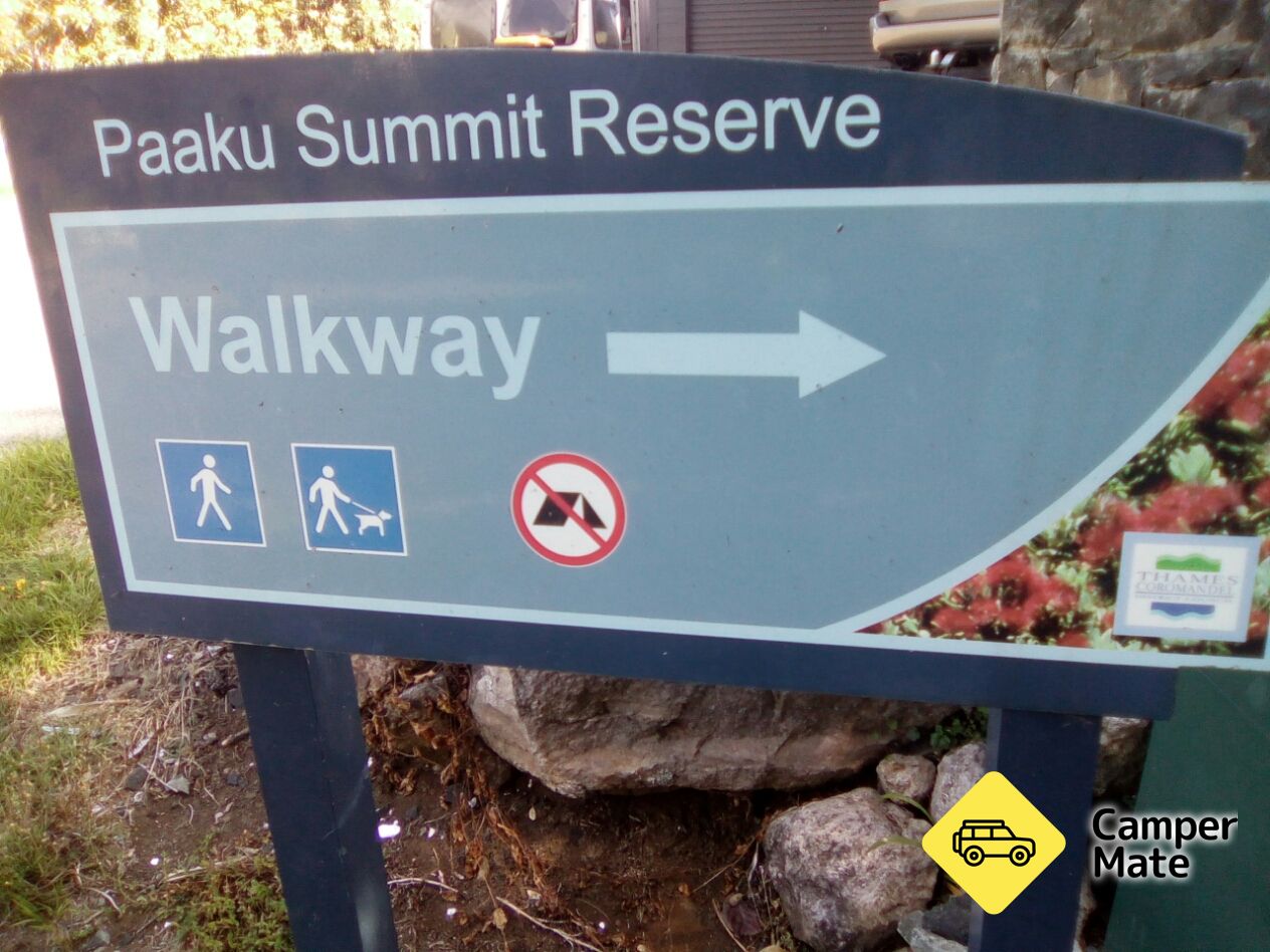 Mt Paku Summit Walk - Image 2