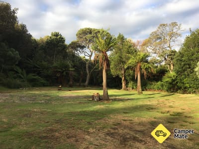 Macquarie Heads Campground