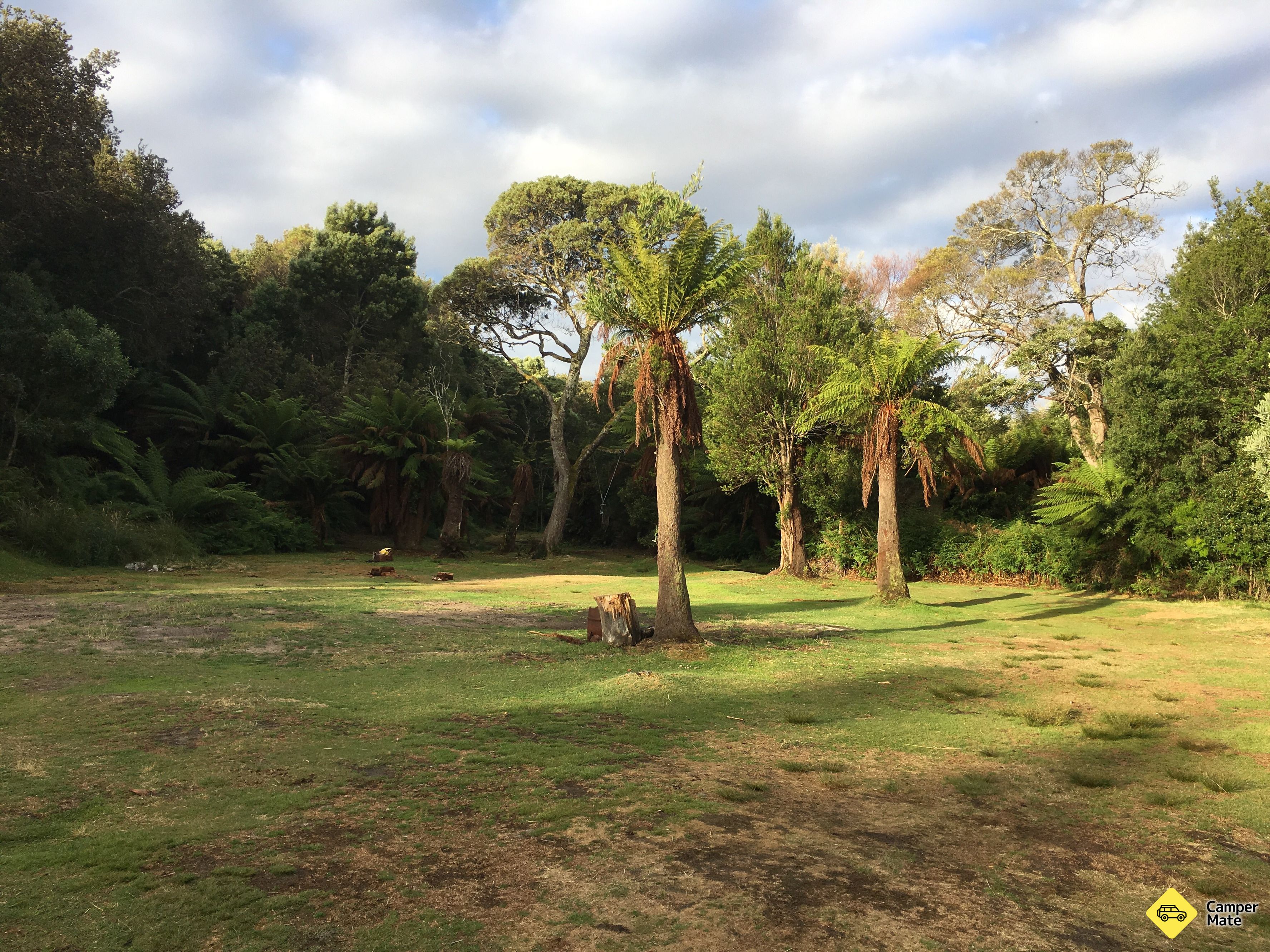 Macquarie Heads Campground