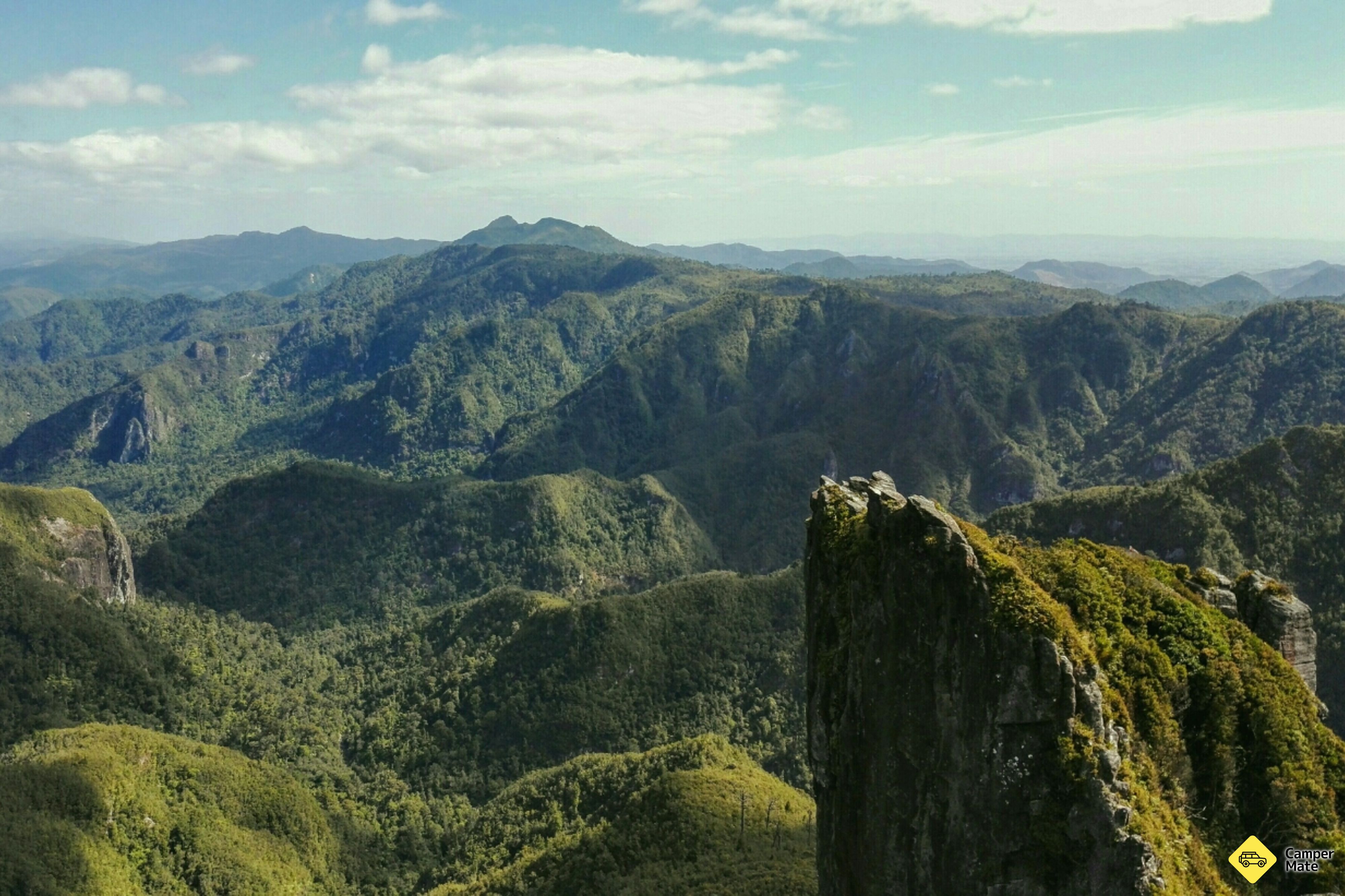 Kauaeranga Kauri Trail (Pinnacles Walk) - Image 2