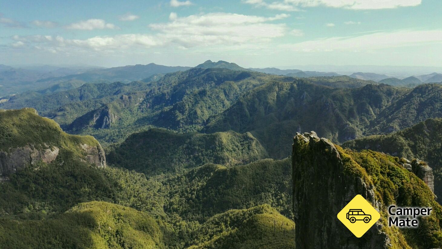 Kauaeranga Kauri Trail (Pinnacles Walk) - Image 2