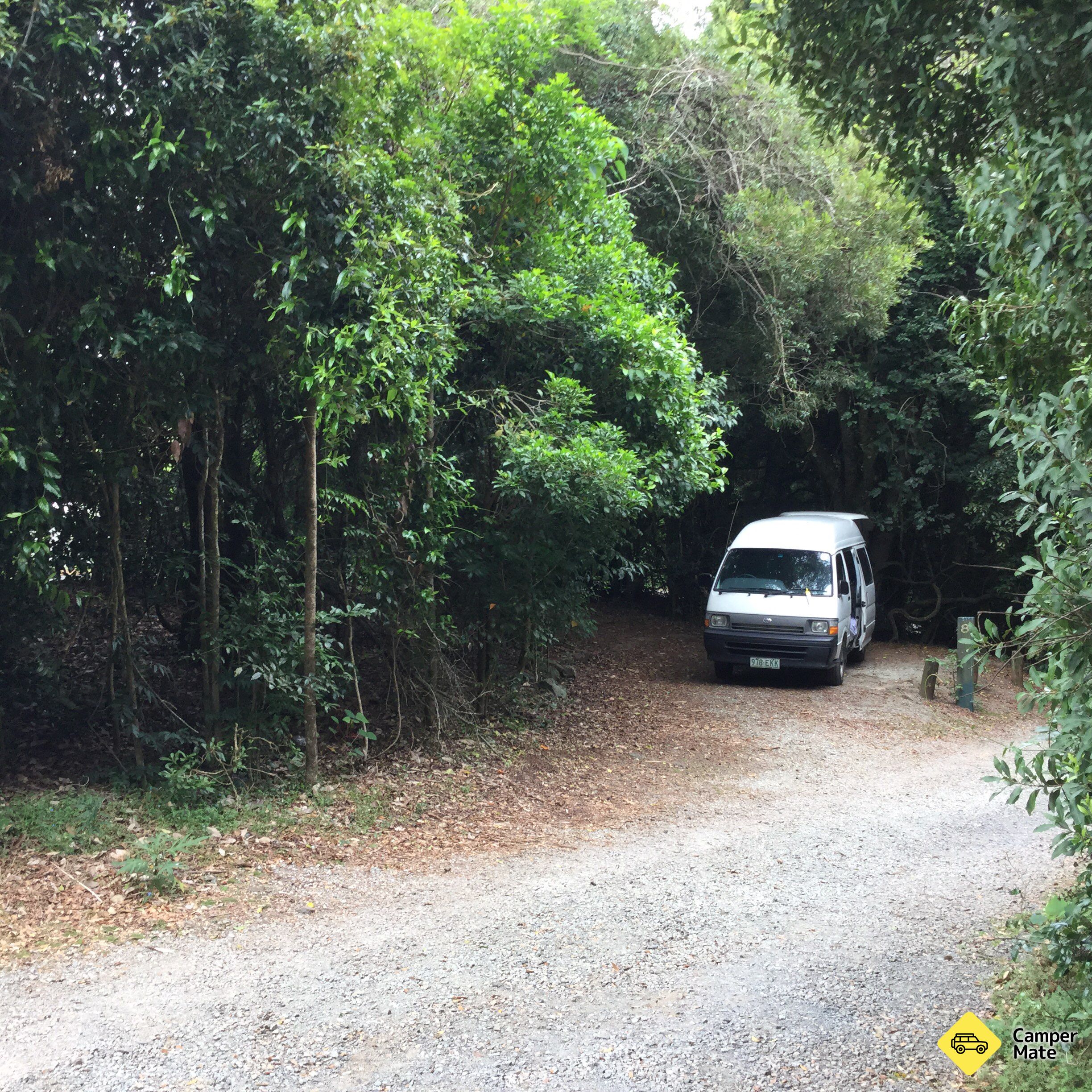 Lamington National Park Camping Ground