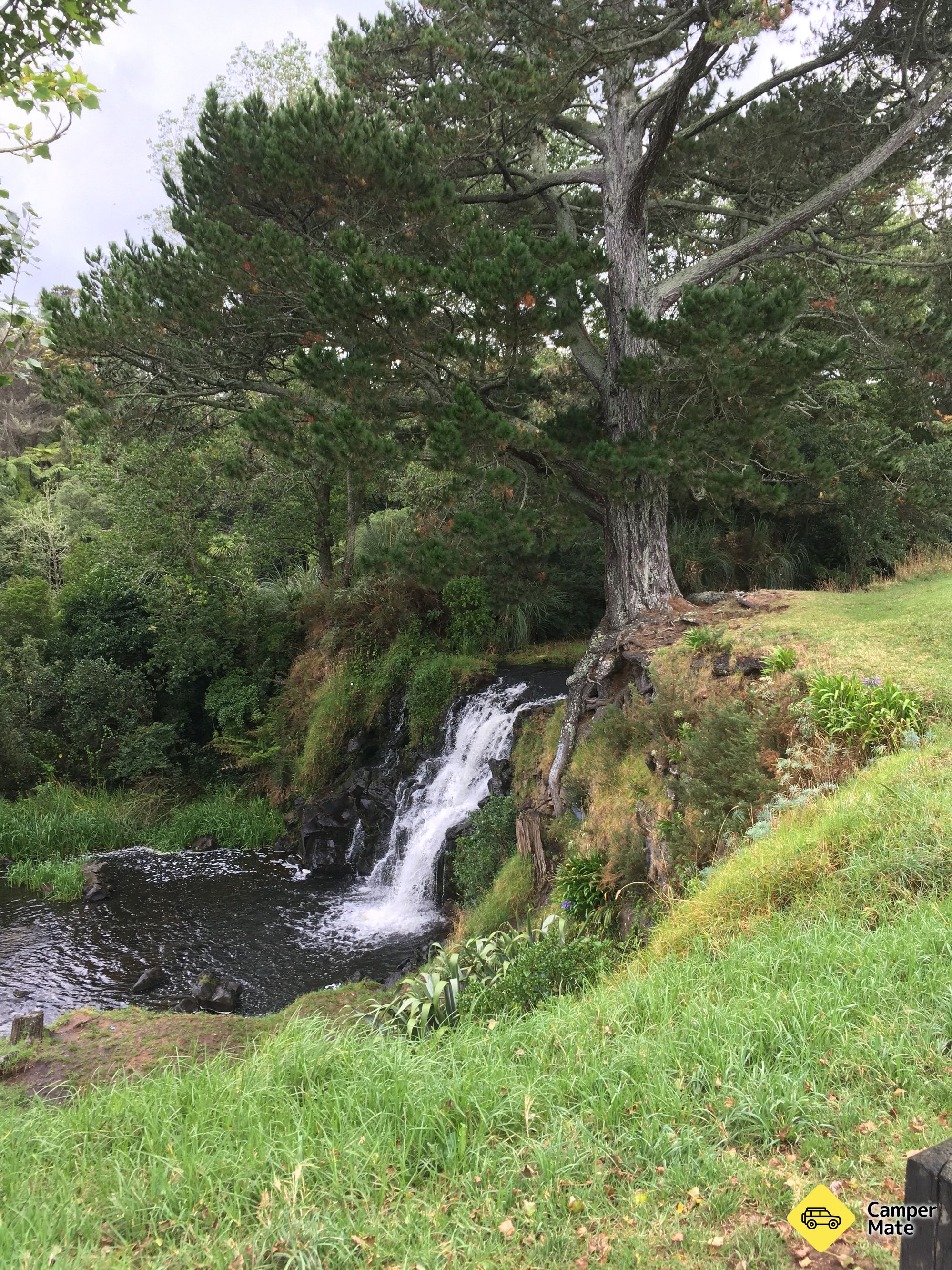 Waitangi Fallsについて - Image 2
