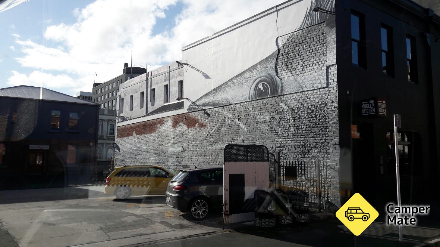 Dunedin Street Art Selbstgeführter Spaziergang - Image 3