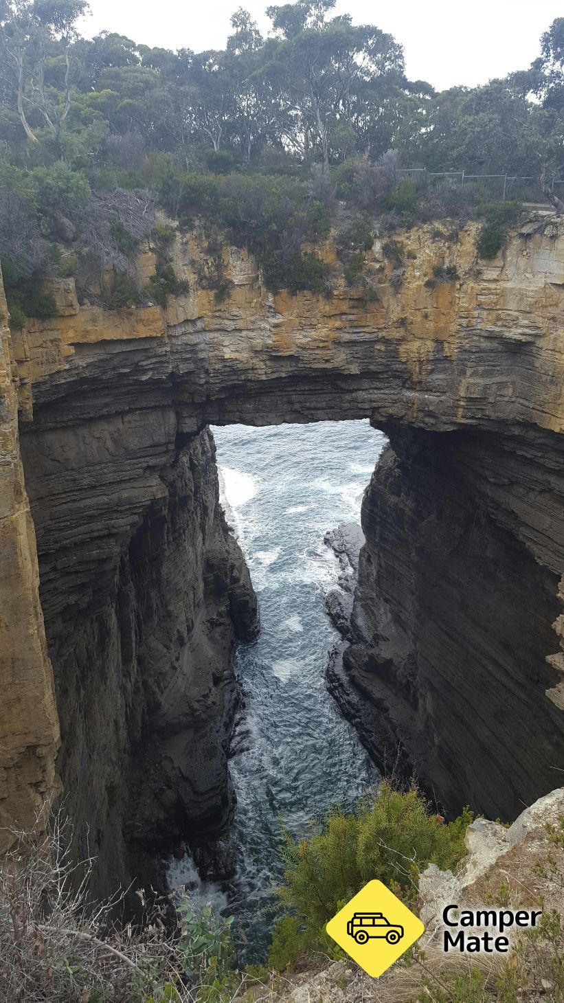 Archives pour Tasman Arch & Devils Kitchen Lookout - Image 3