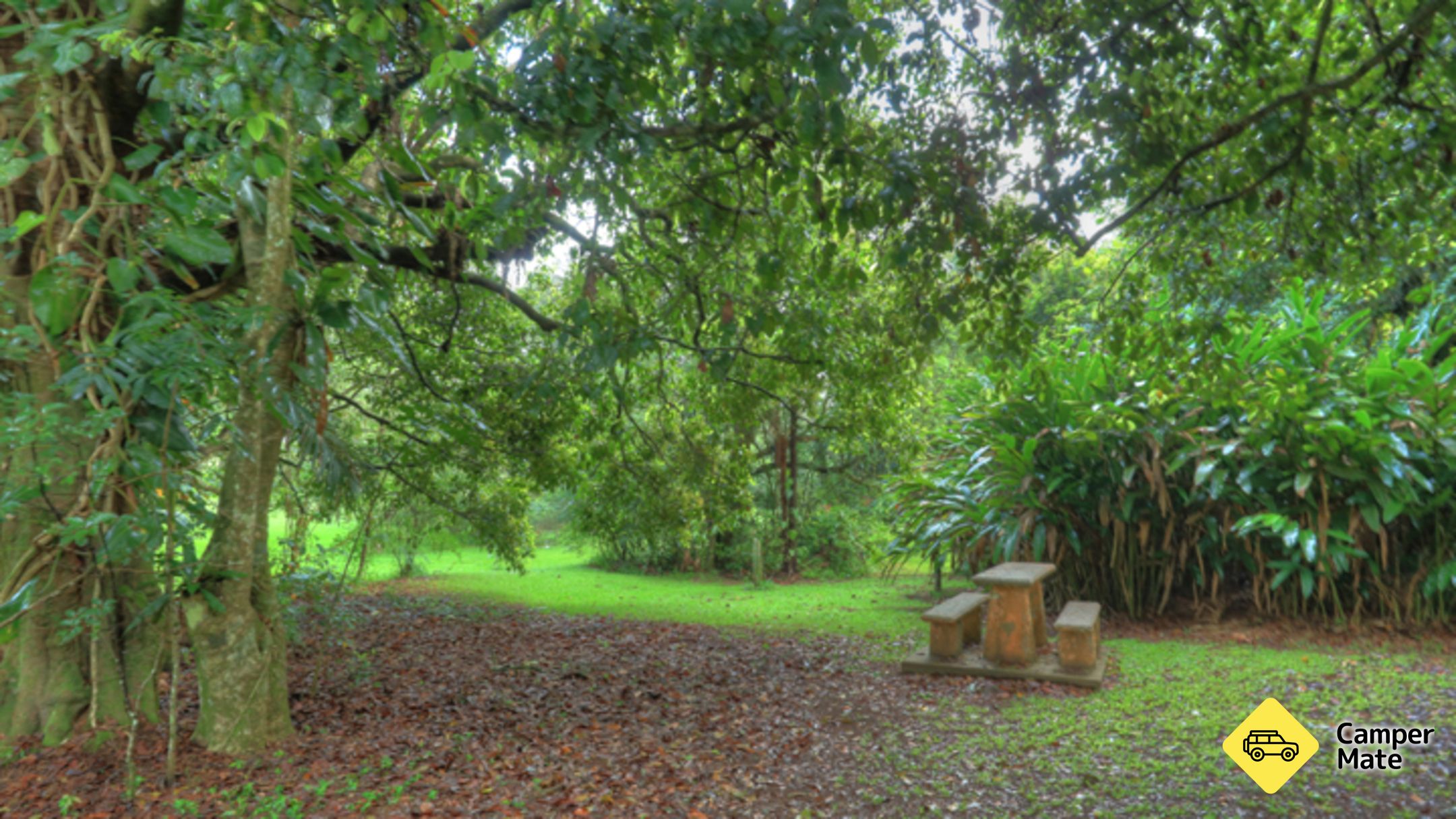 Millaa Millaa Tourist Park - Image 2