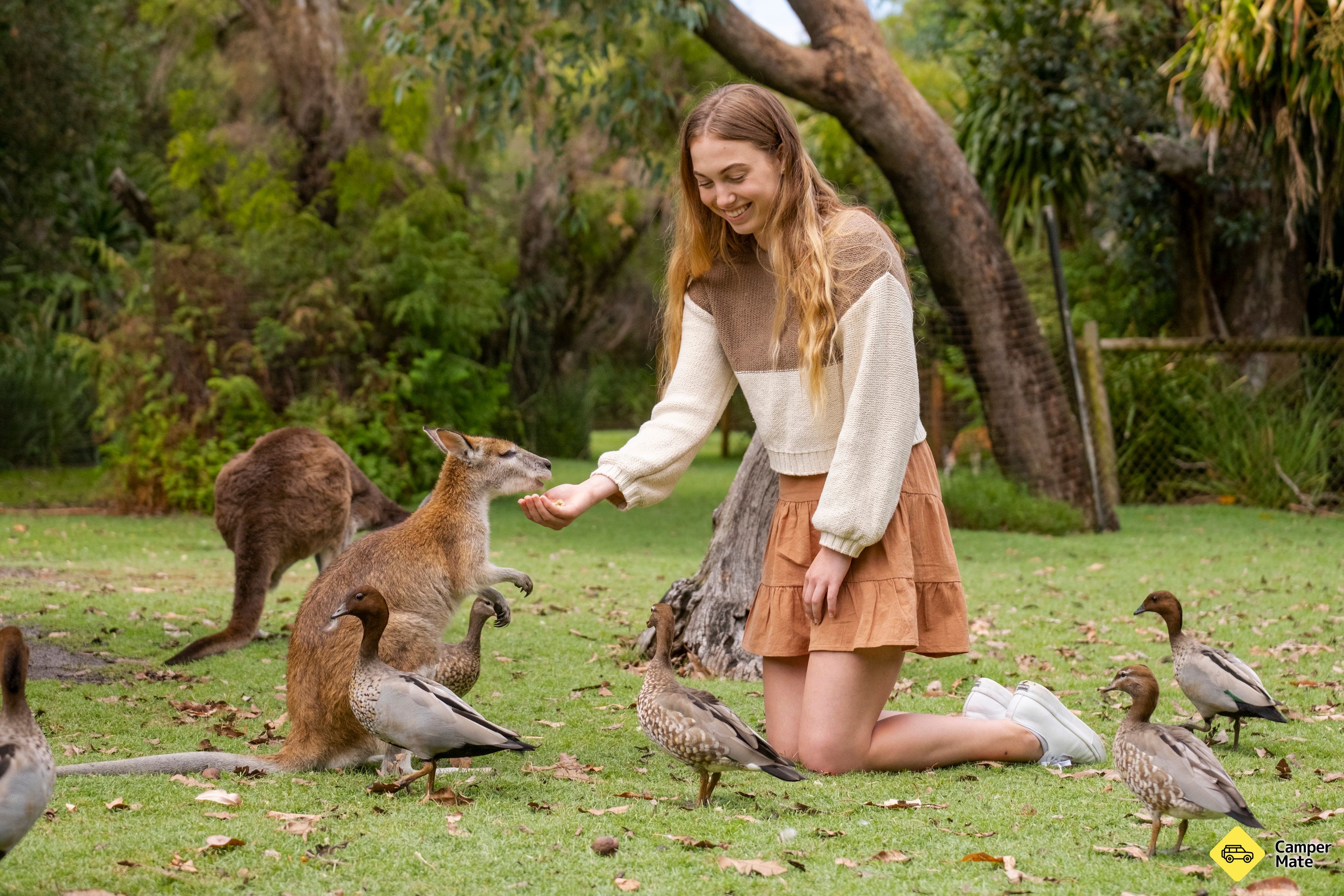 Caversham Wildlife Park - Image 2