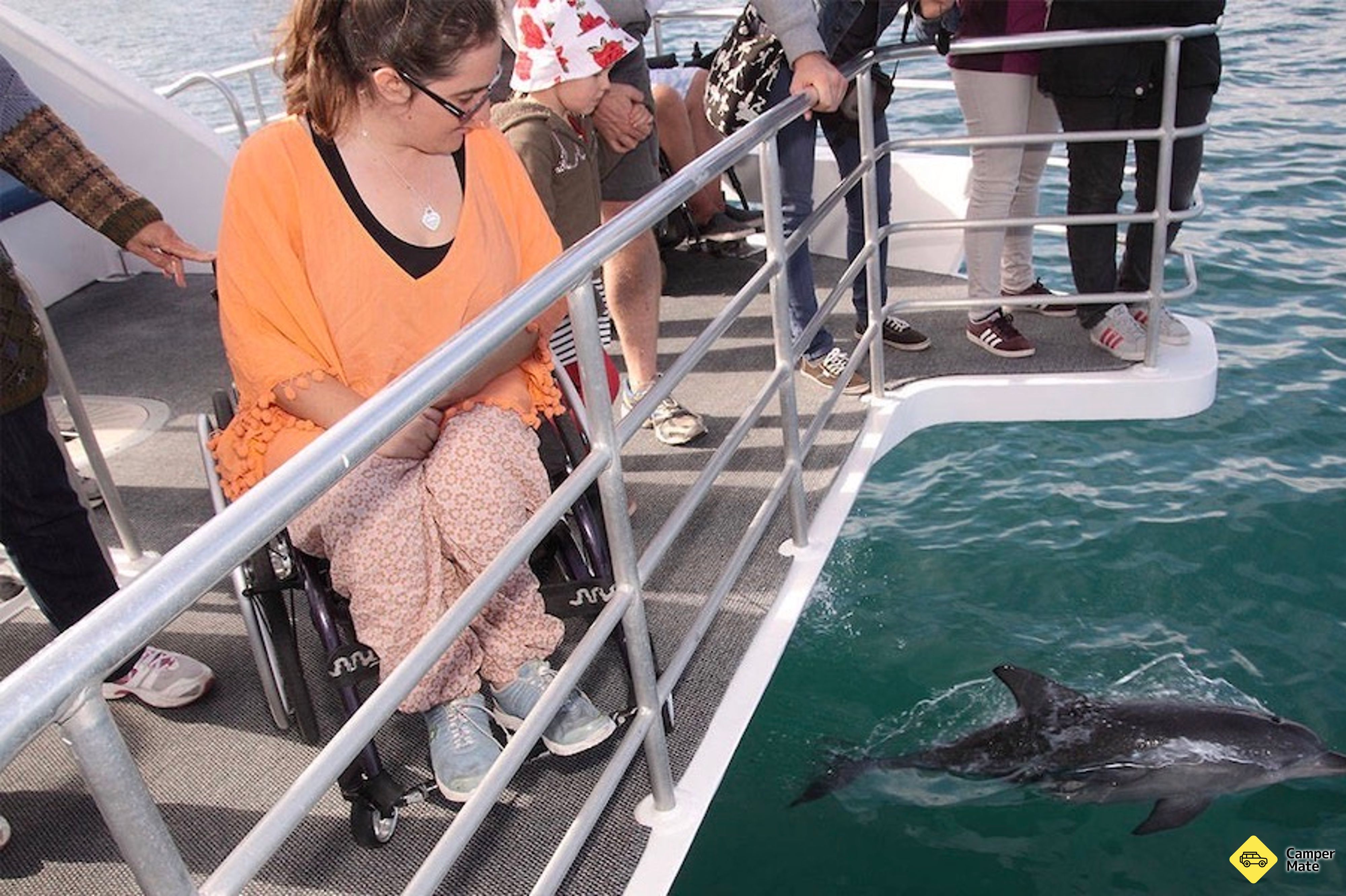 Jervis Bay Dolphin sledování plavby - Image 3