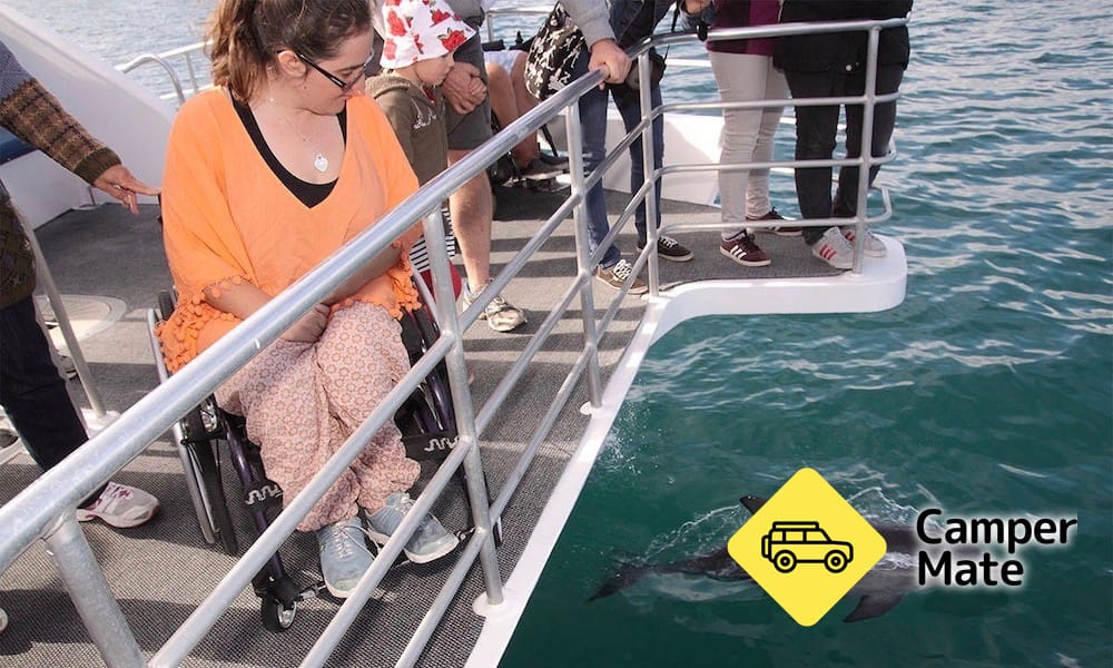 Jervis Bay Dolphin Watching Cruise - Image 3