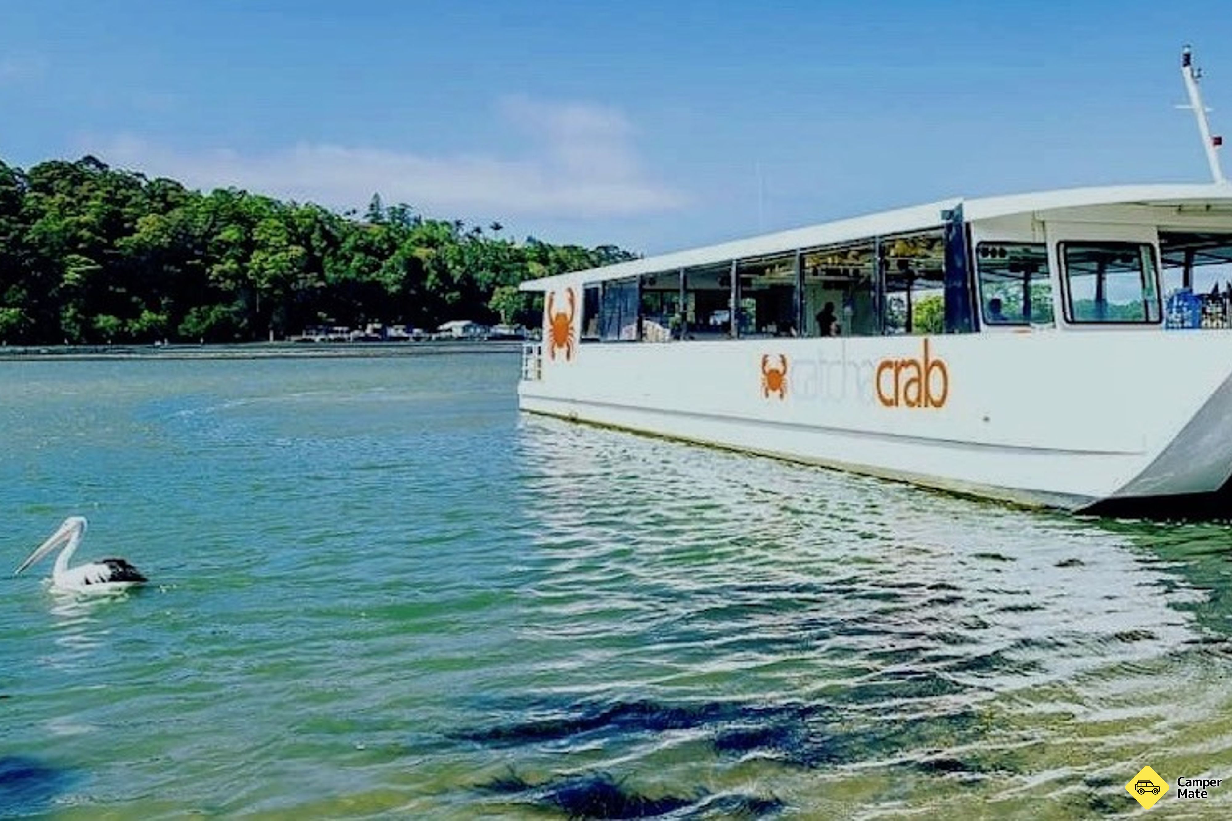 Gold Coast Catch a Crab Cruise - Image 2
