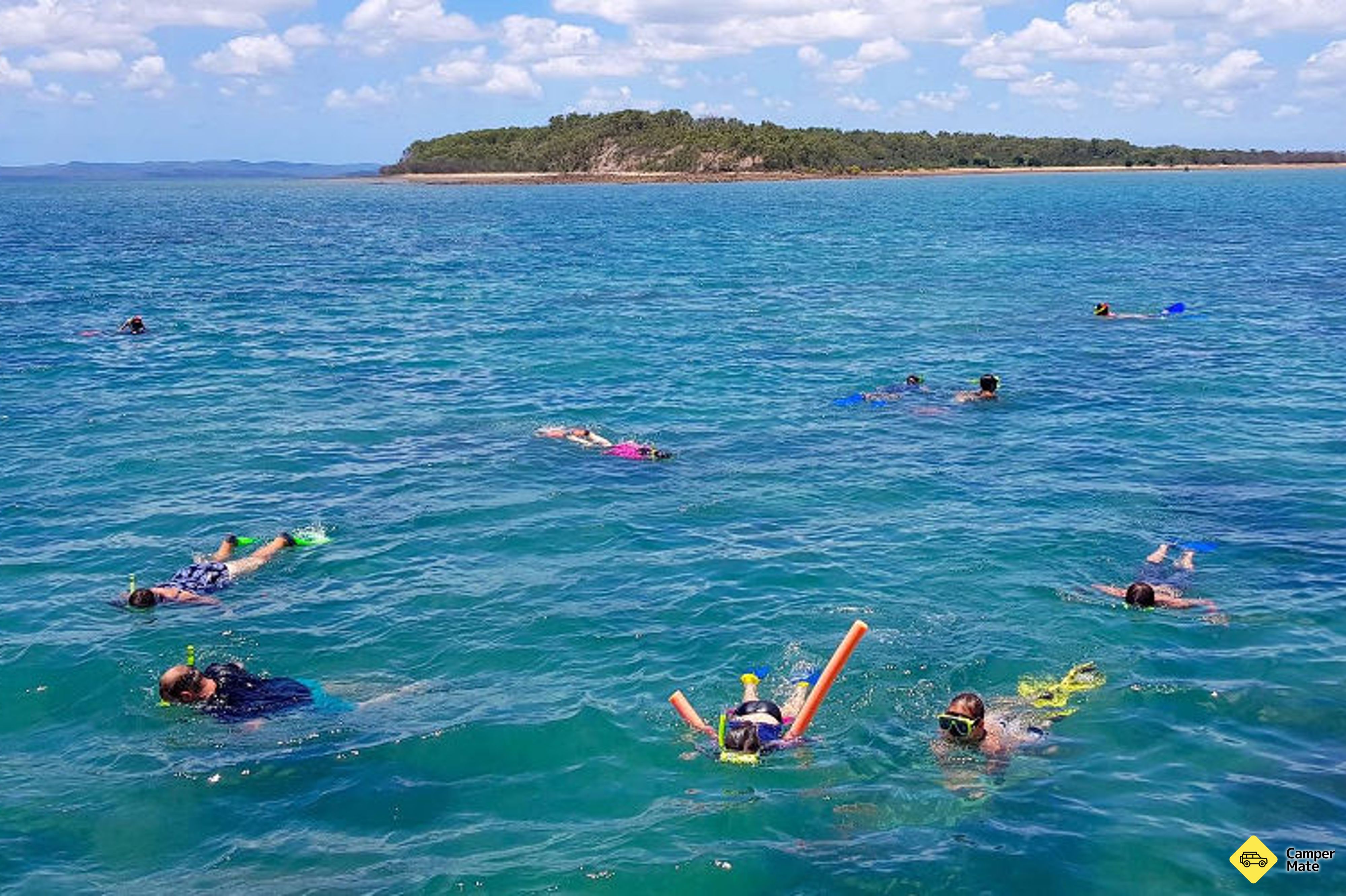 Další podrobnosti o zařízení Hervey Bay Turtle Discovery Marine Tours - Image 3