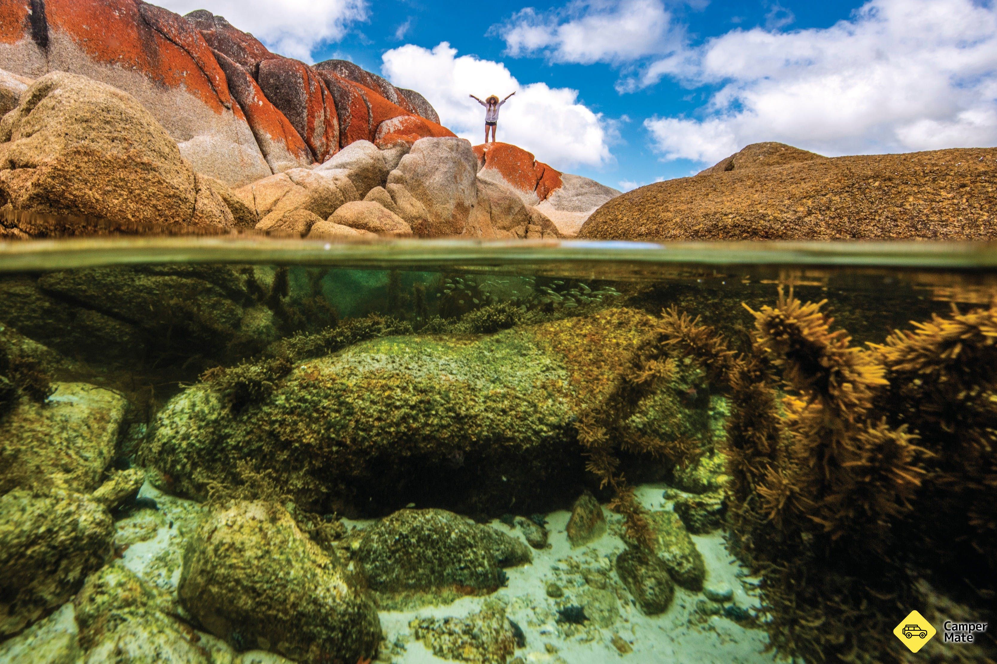 La bahía de los fuegos - Image 2
