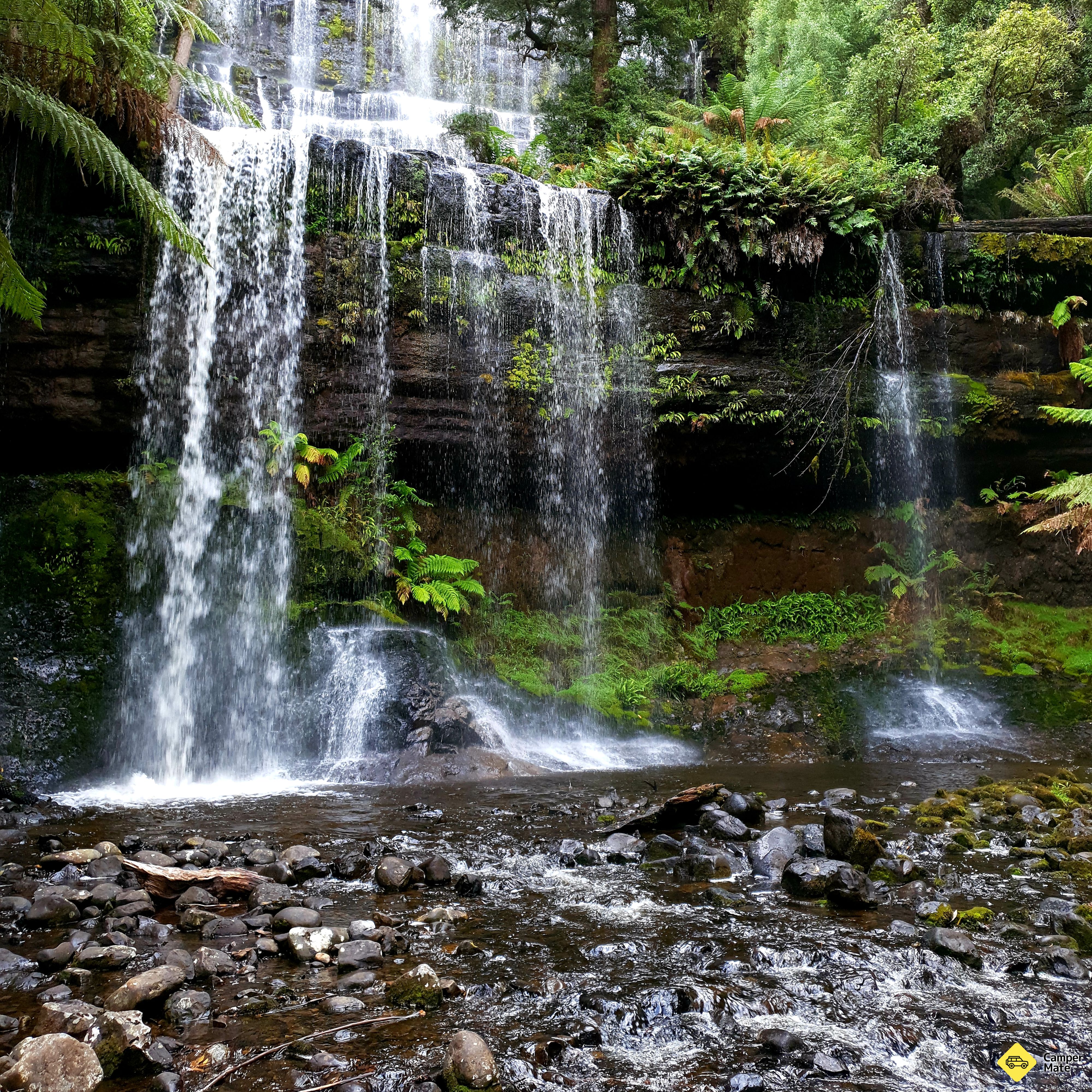 Russell Falls - Image 2
