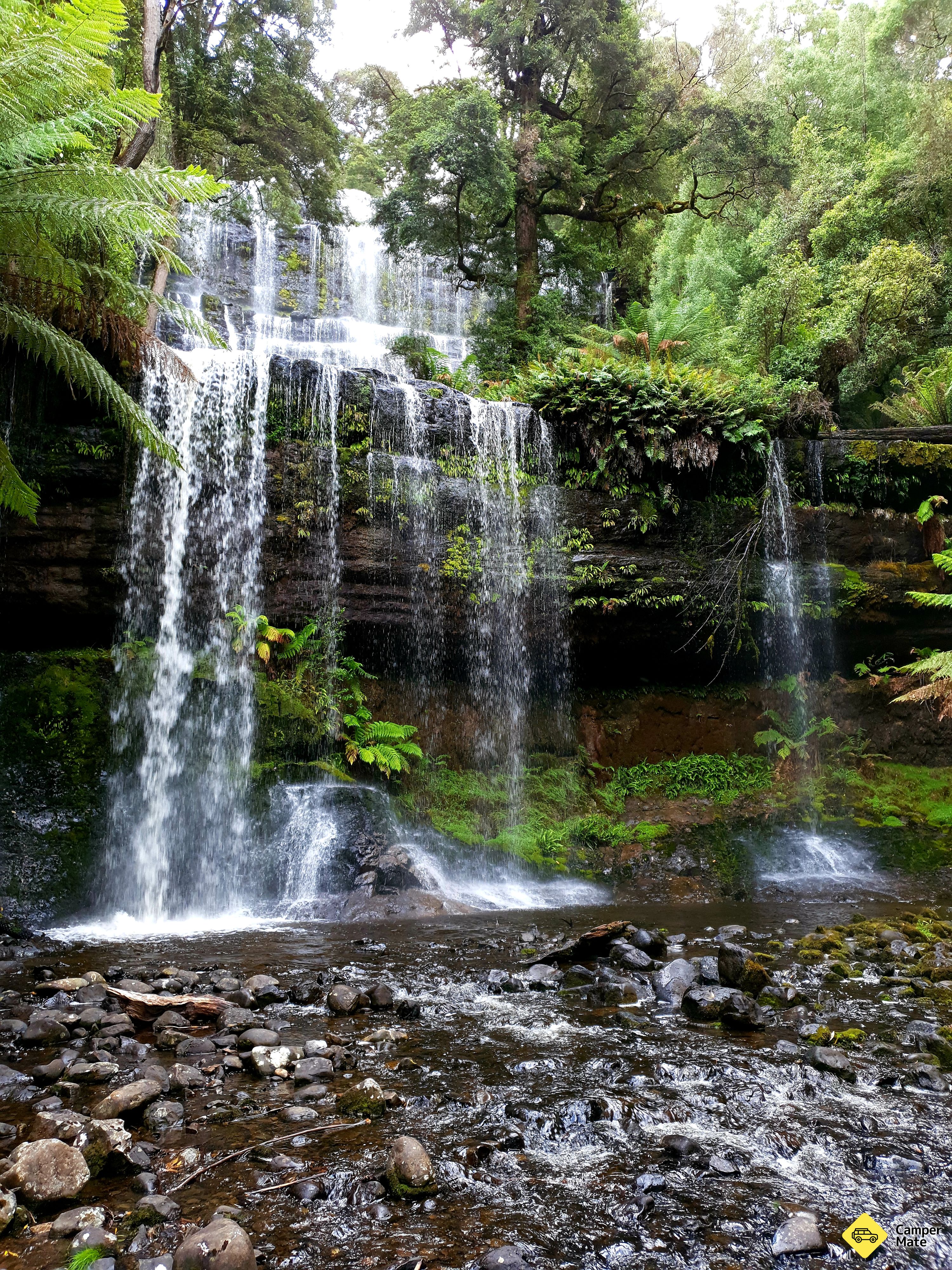 Russell Falls - Image 2