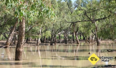 Culgoa River Campground