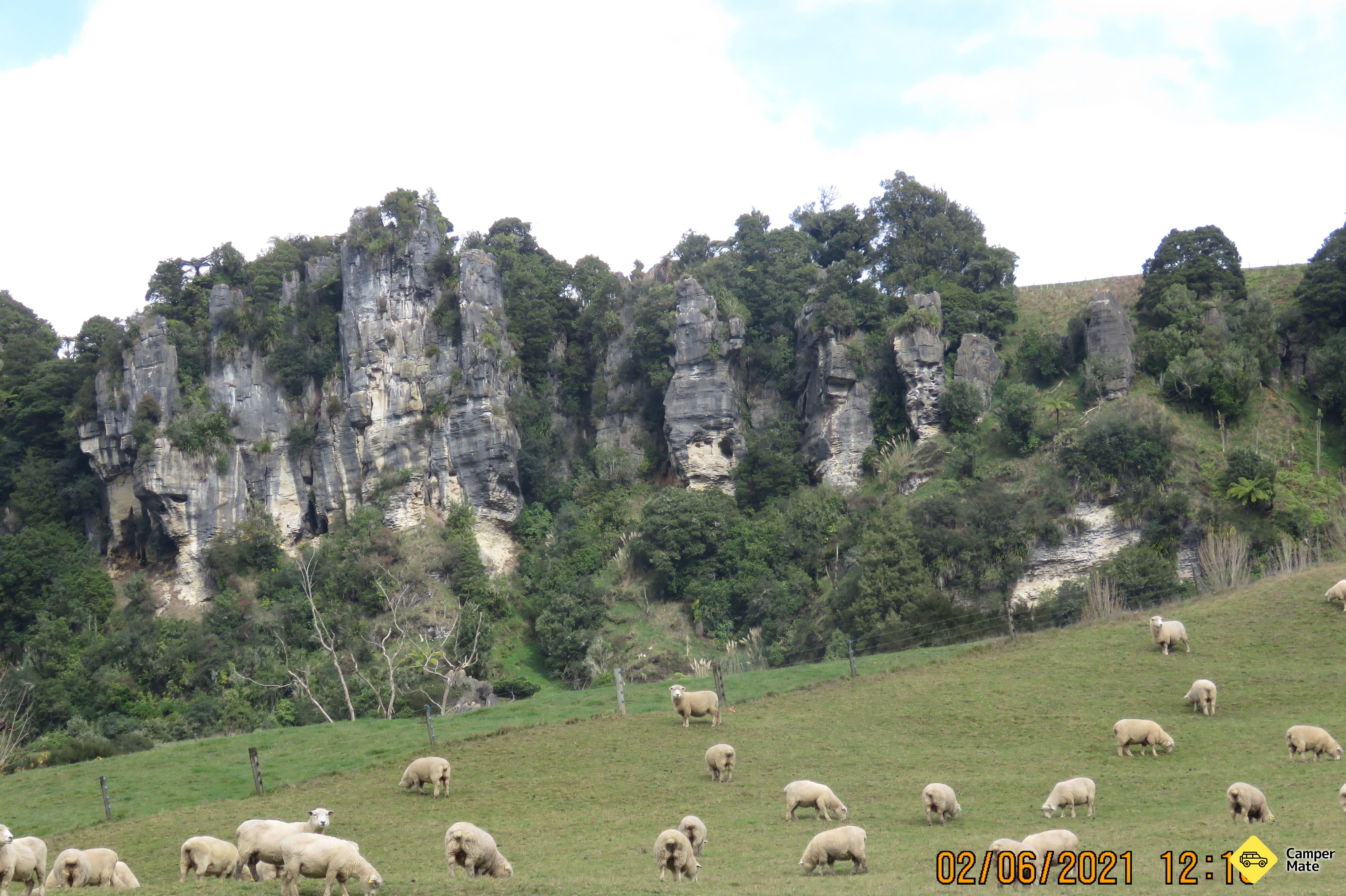 Hairy Feet Waitomo Hobbit Film Location Tour - Image 2