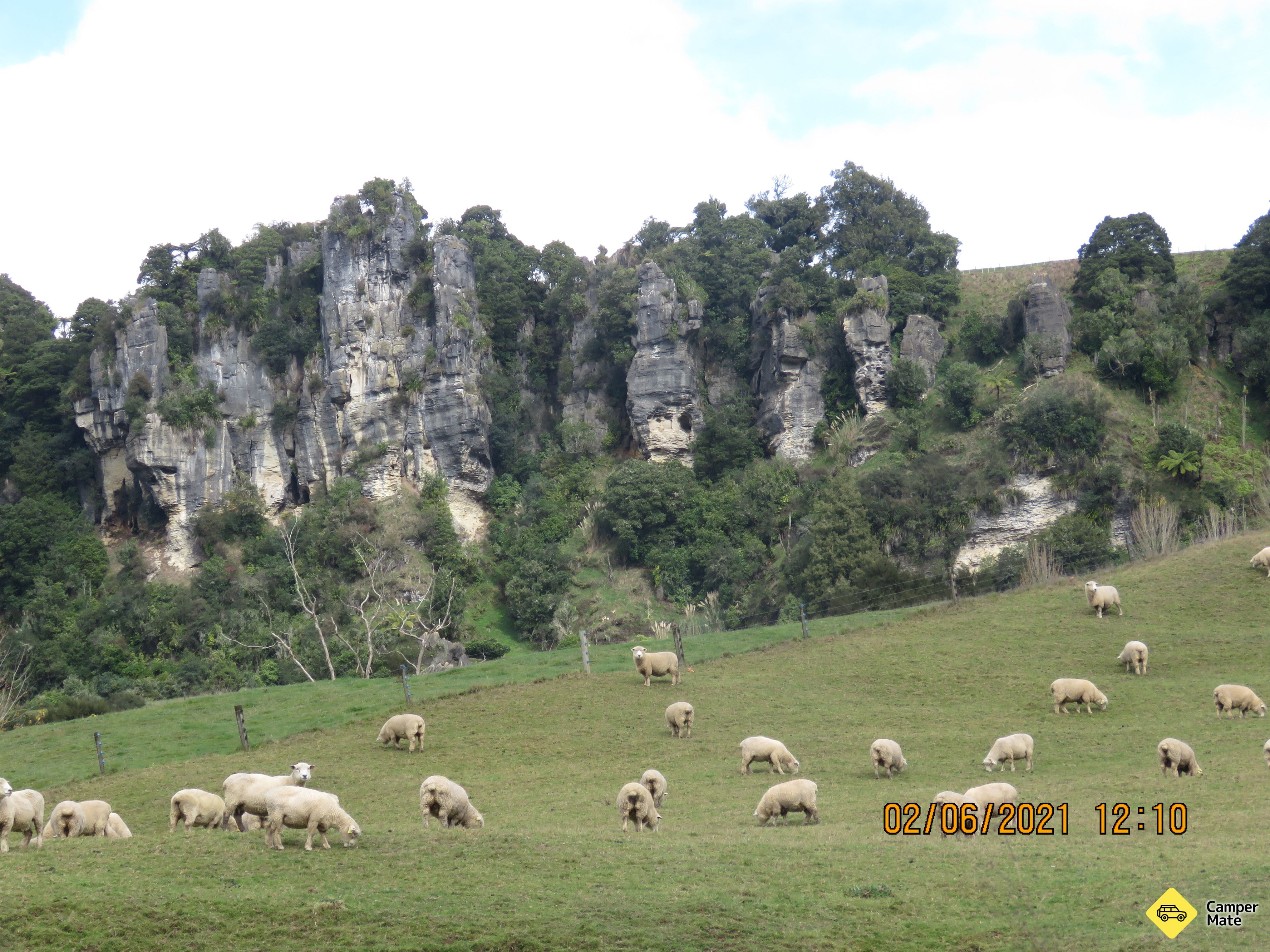 Hairy Feet Waitomo Hobbit Film Location Tour - Image 2
