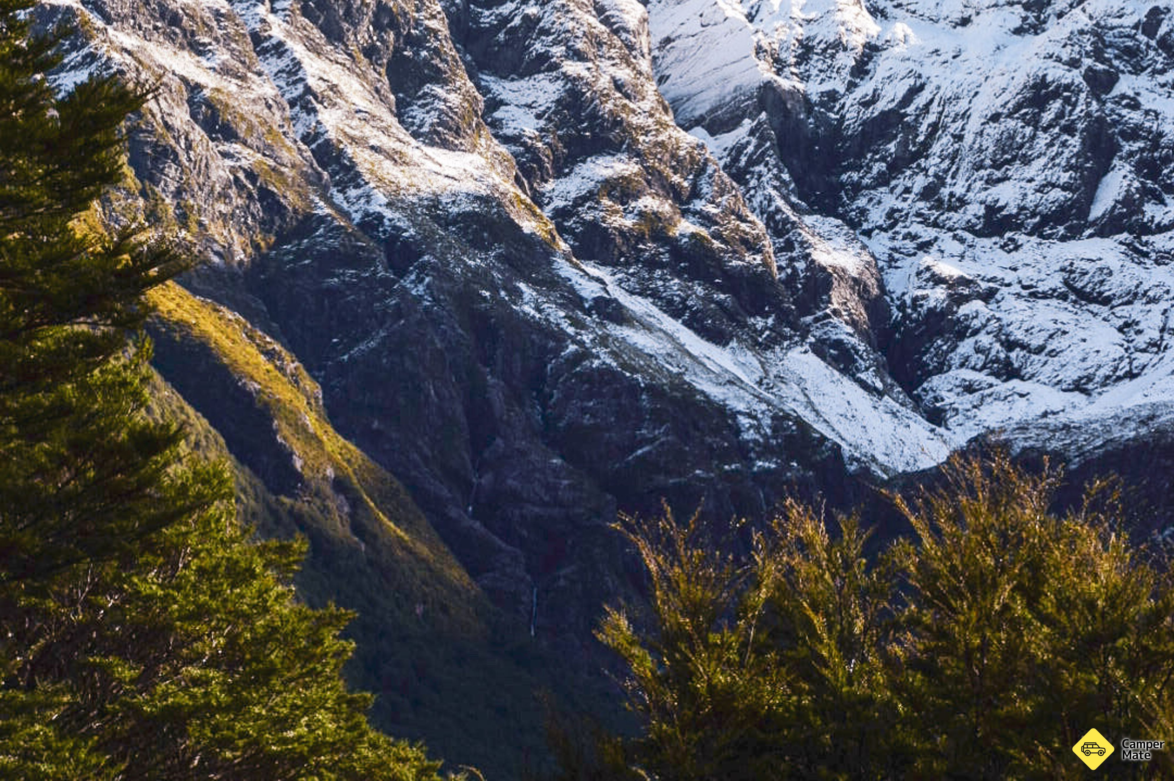 Otira Valley Track - Image 2