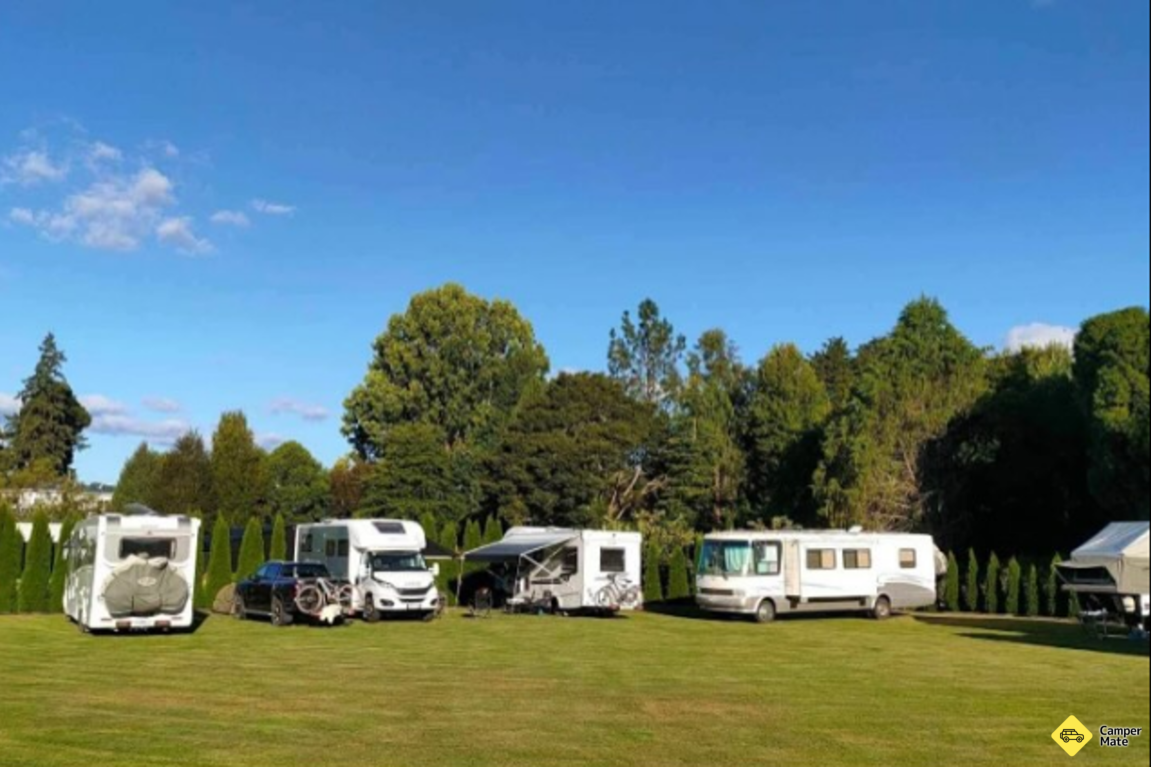 Bradley's Garden POP up Camp