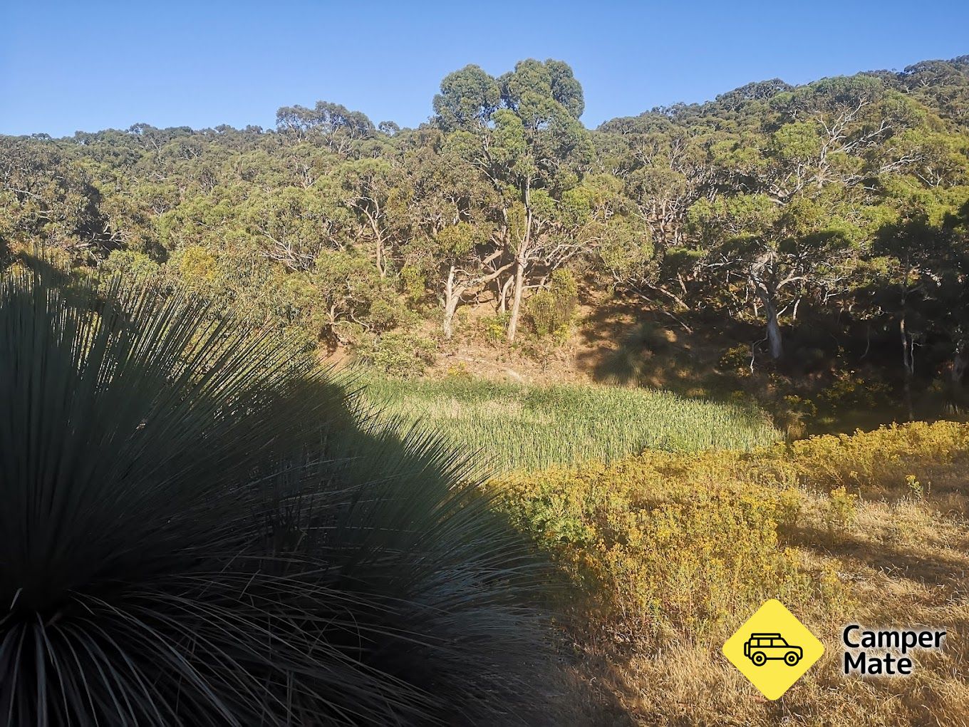 ארכיון תגיות: Eagle Waterhole Campground