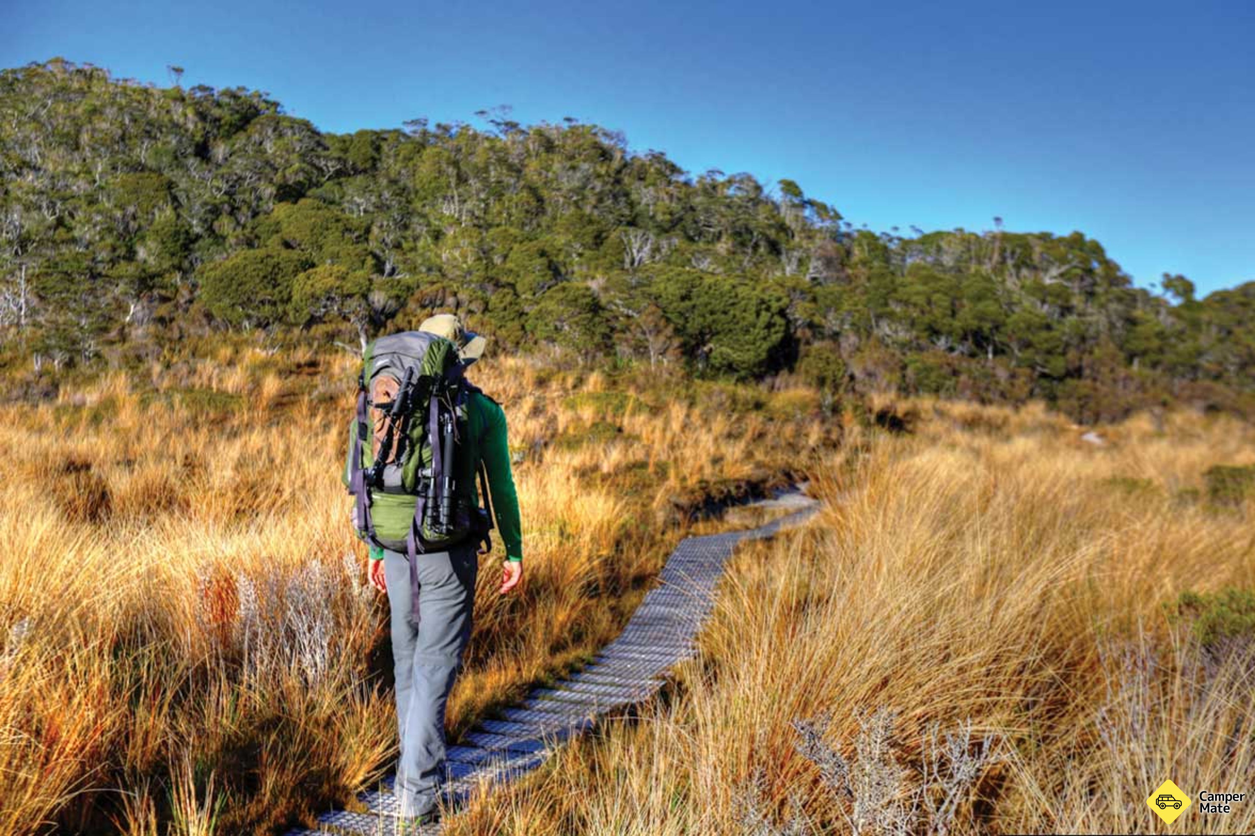 Kahurangi National Park - Image 3