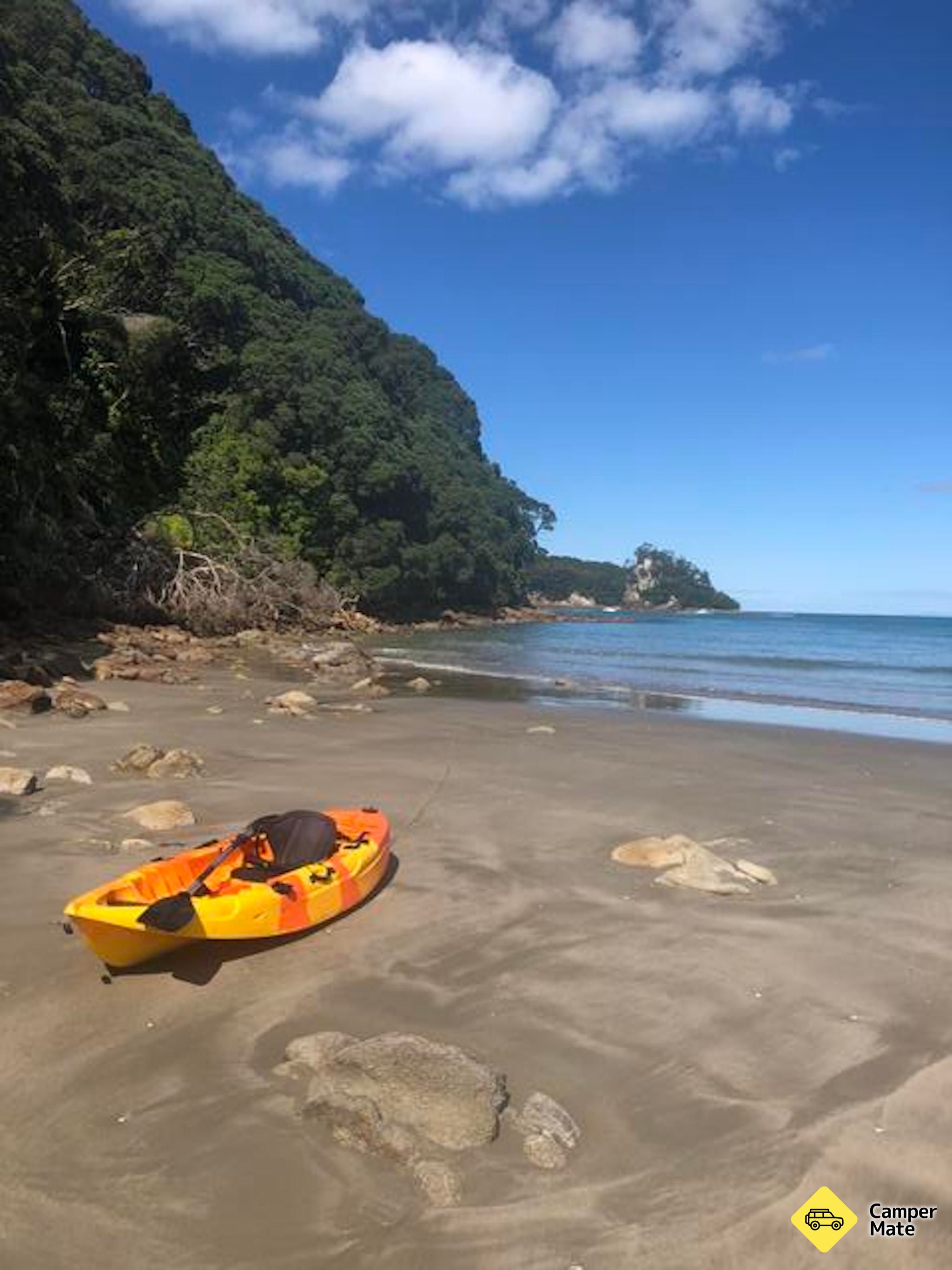 Hauturu (Clark) Island - Image 2