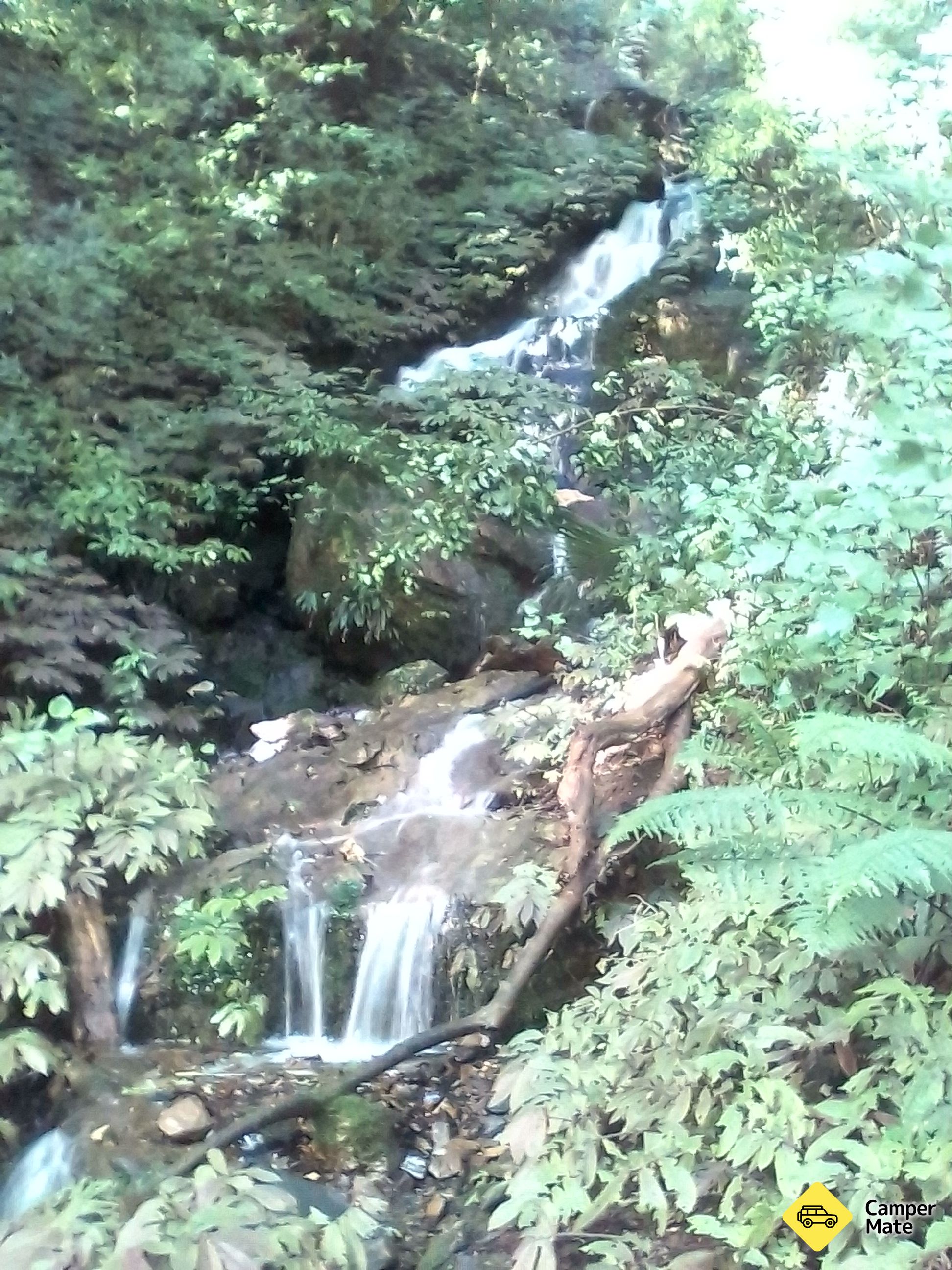 Mangaokewa Reserve Walks - Image 3