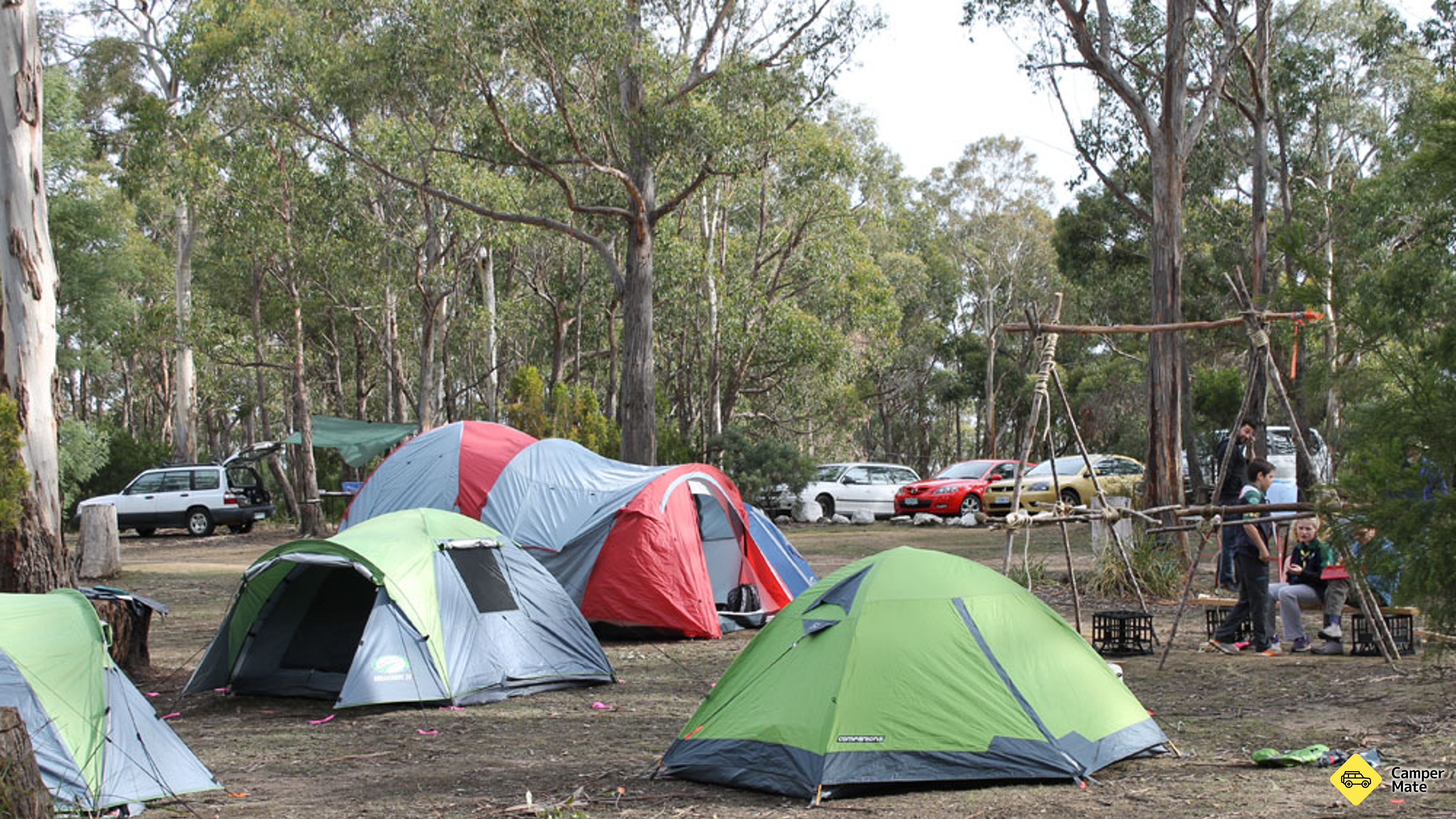 El campo de Lea Bush