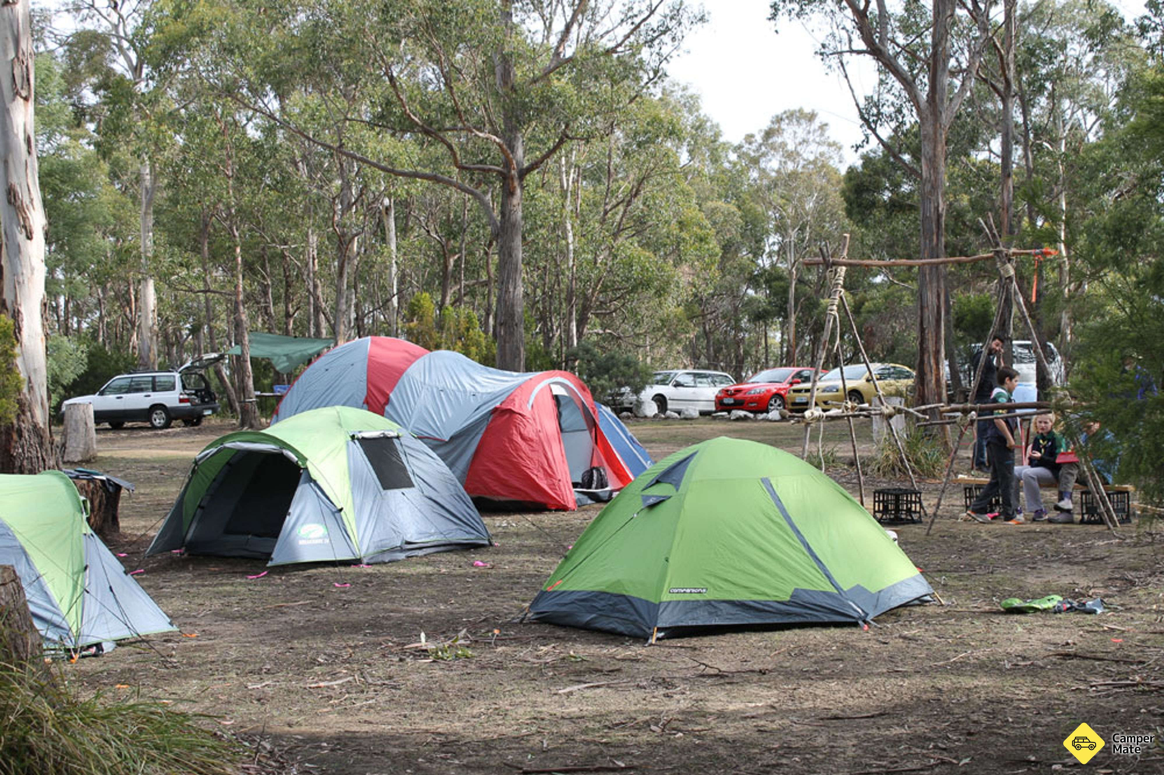 El campo de Lea Bush