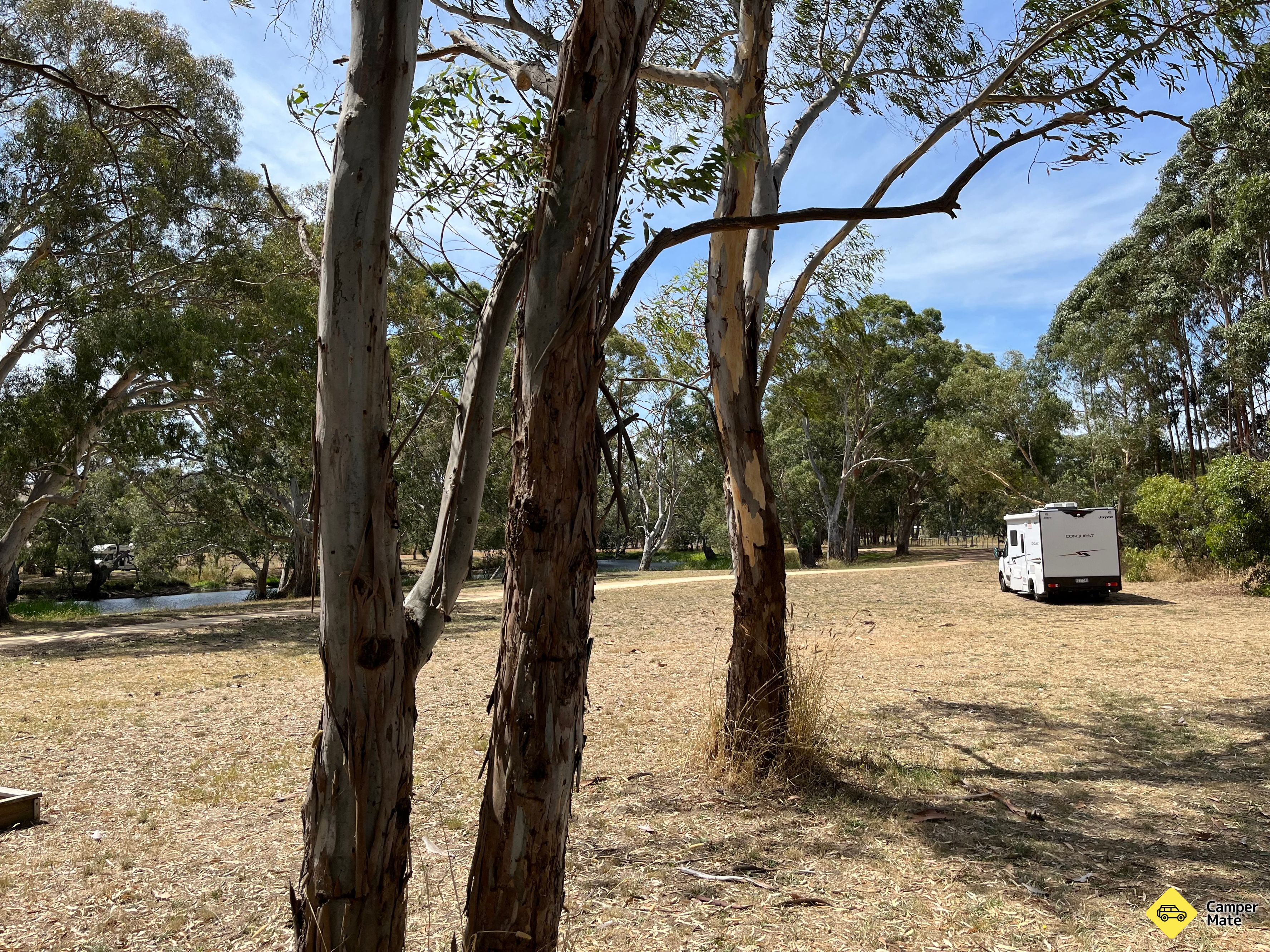 Ess Lagoon Camp Area