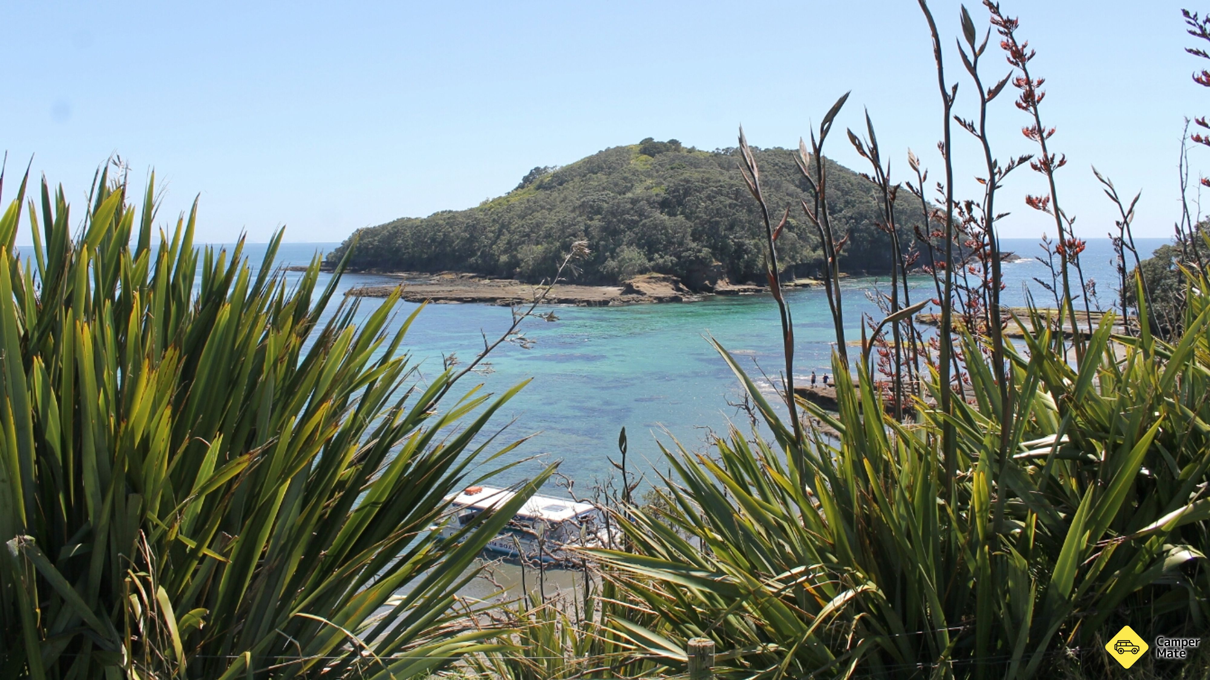 Goat Island Lookout 근처 오락거리