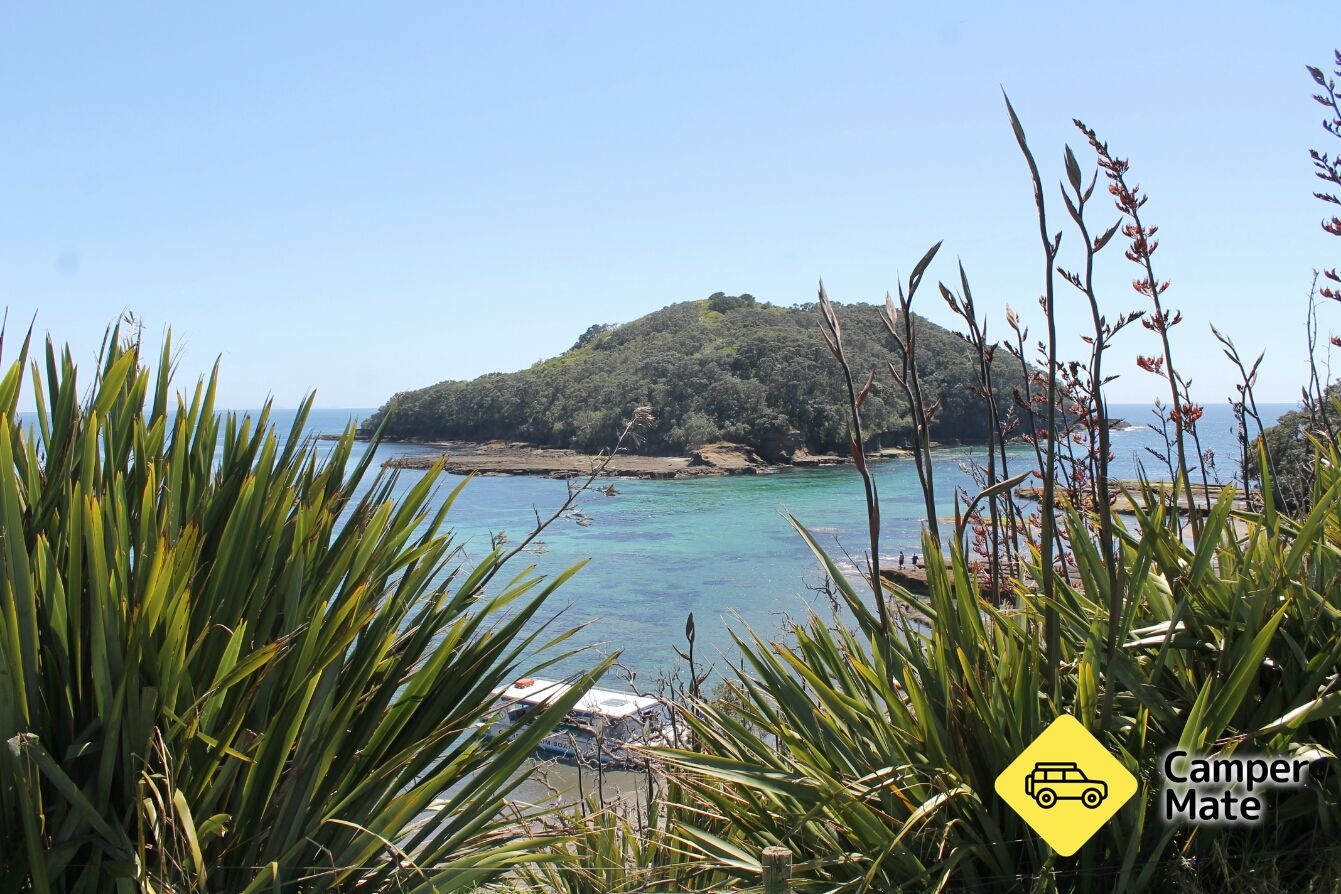 Goat Island Lookout