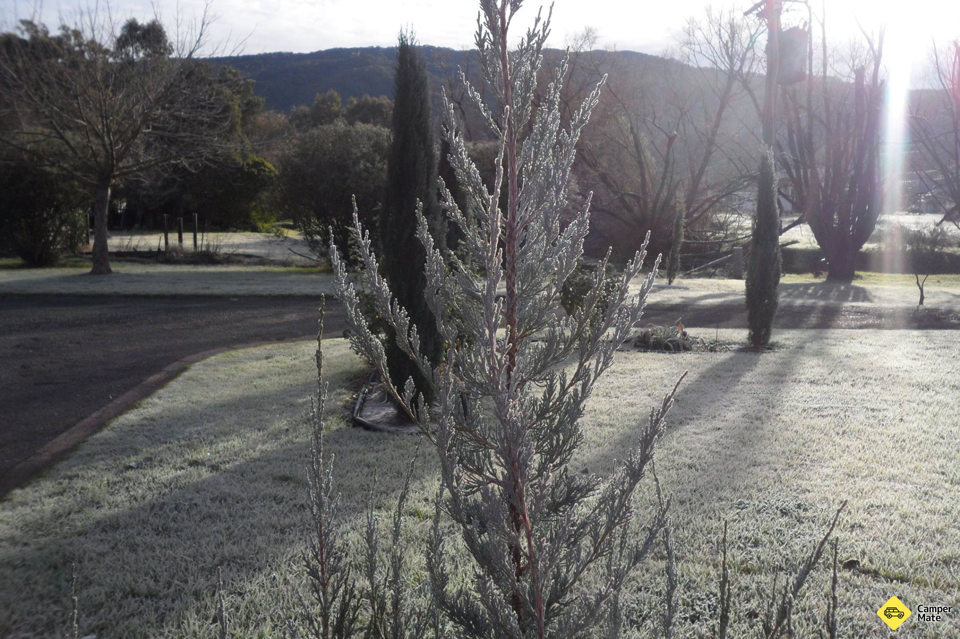 Parco delle Caravane di Murrurundi - Image 3