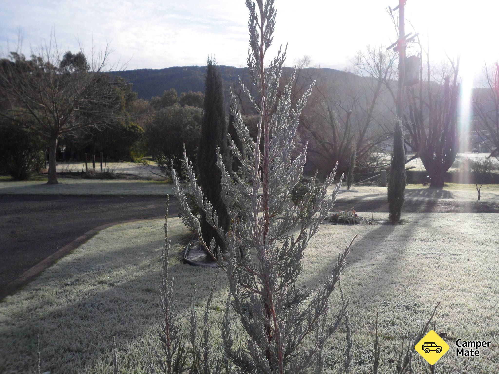 Murrurundi Caravan Park - Image 3