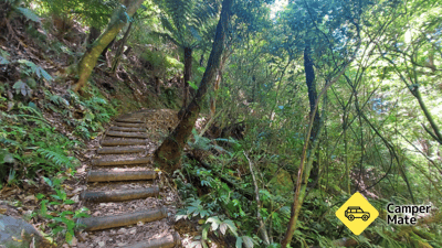 Waiorongomai Valley Walking Tracks