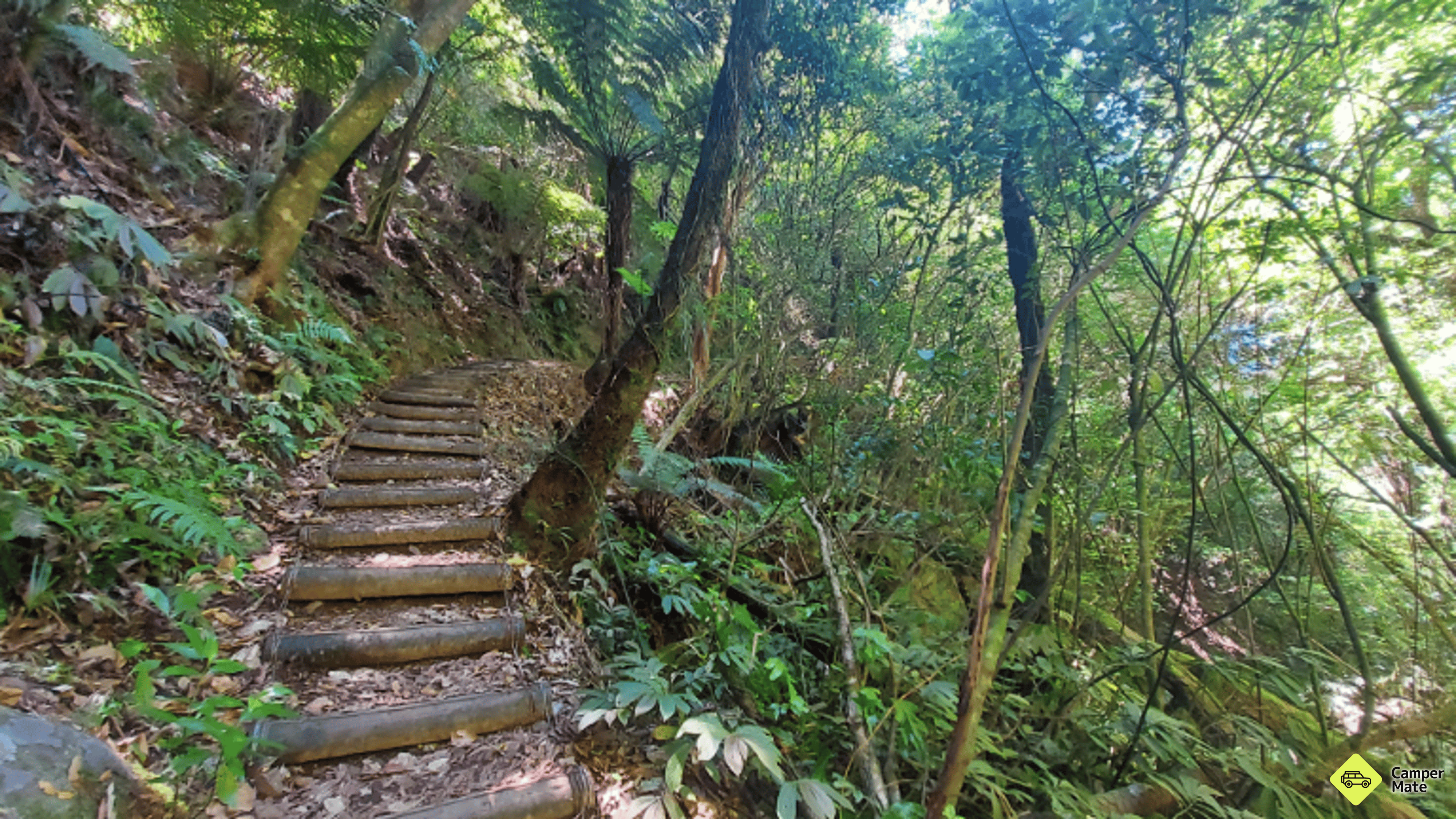 Waiorongomai Valley Walking Tracks