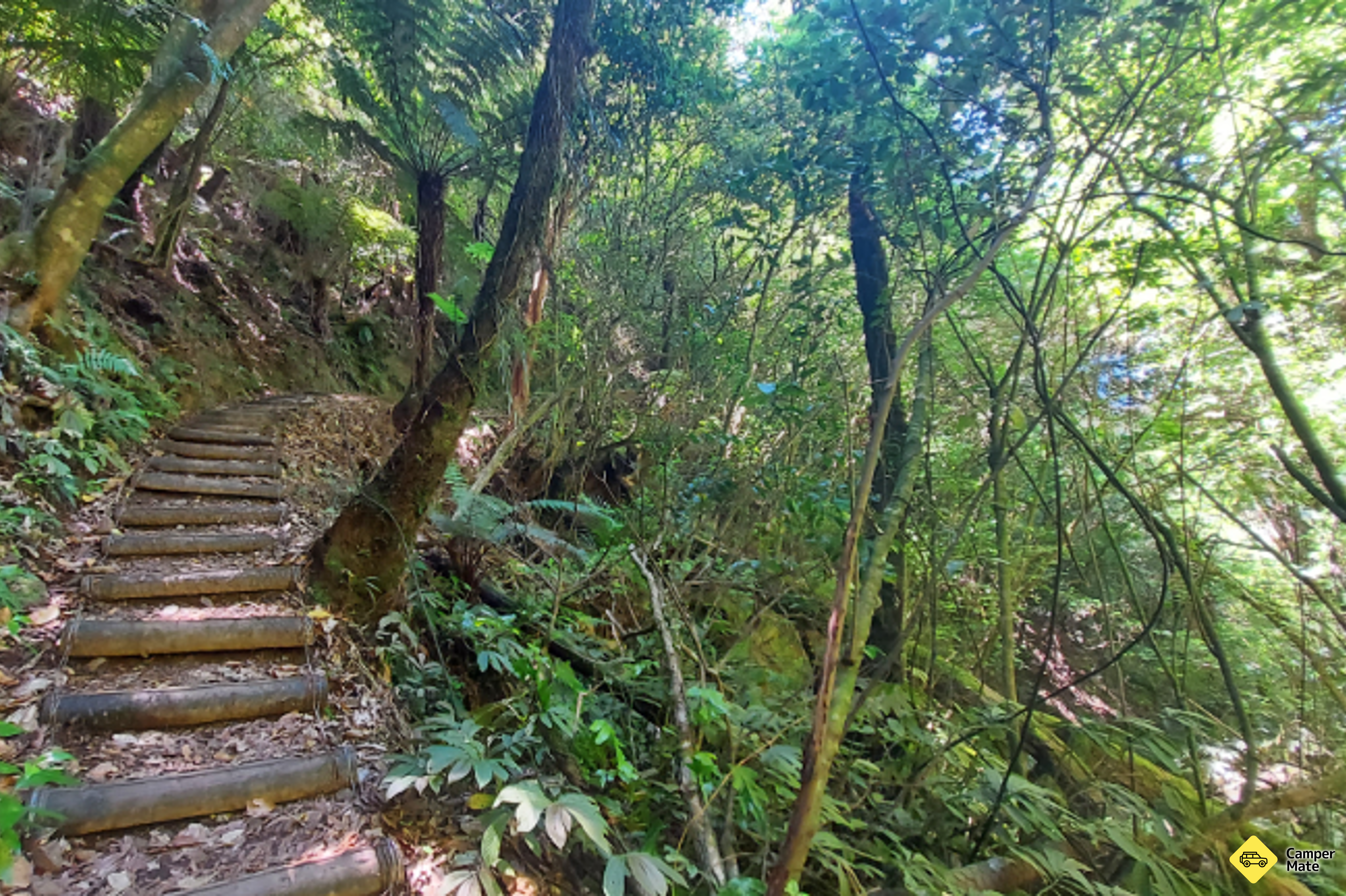 Waiorongomai Valley Walking Tracks