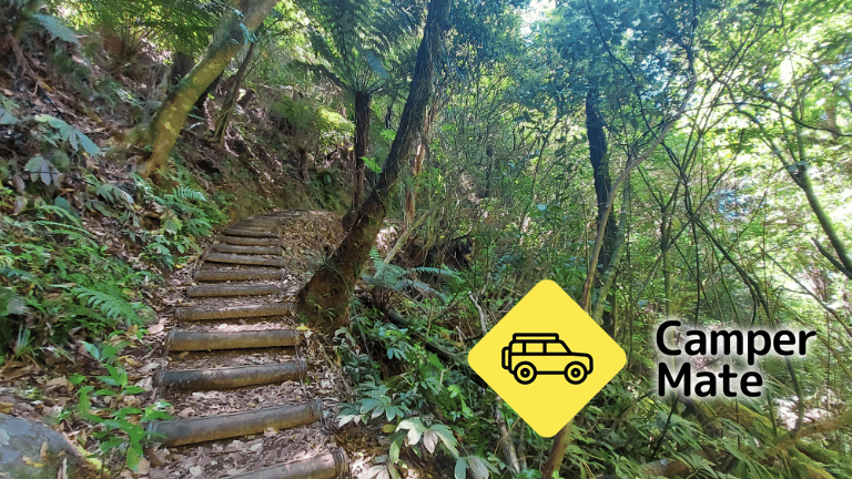 Waiorongomai Valley Walking Tracks