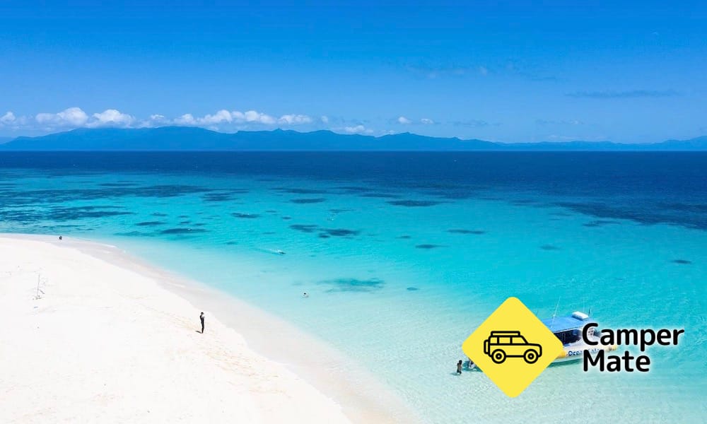 Great Barrier Reef Snorkel Trip from Cape Tribulation(ケープ・トリビュレーション)