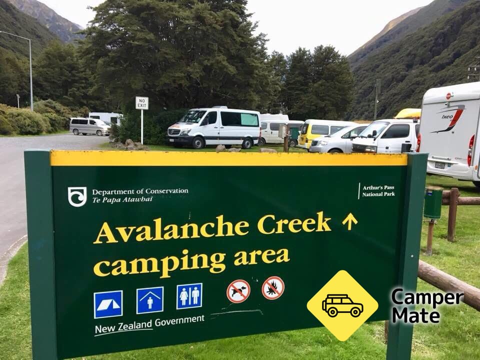 Avalanche Creek Shelter Campsite - Image 2